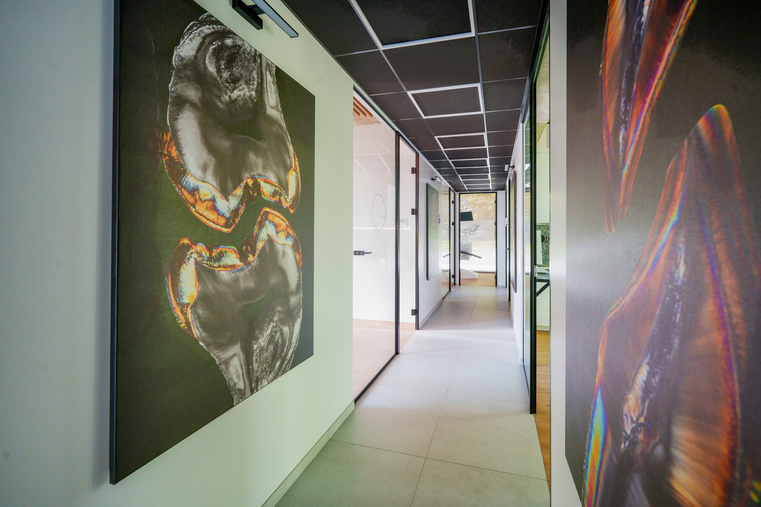 Žaliųjų ežerų g. 27. Elina Sapiega fotografė Vilniuje