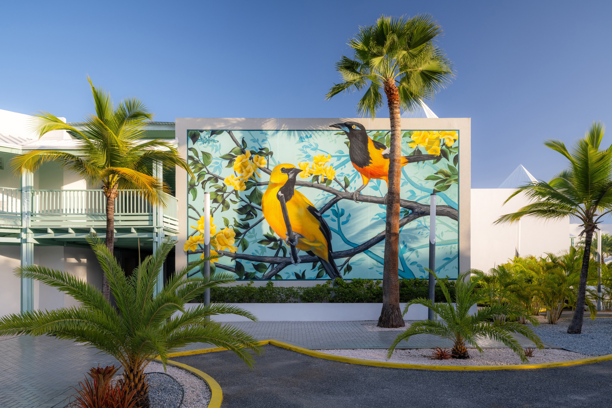 Courtyard Aruba Resort. Professionals Hotel Content Creators Salt and Pepper Studio
