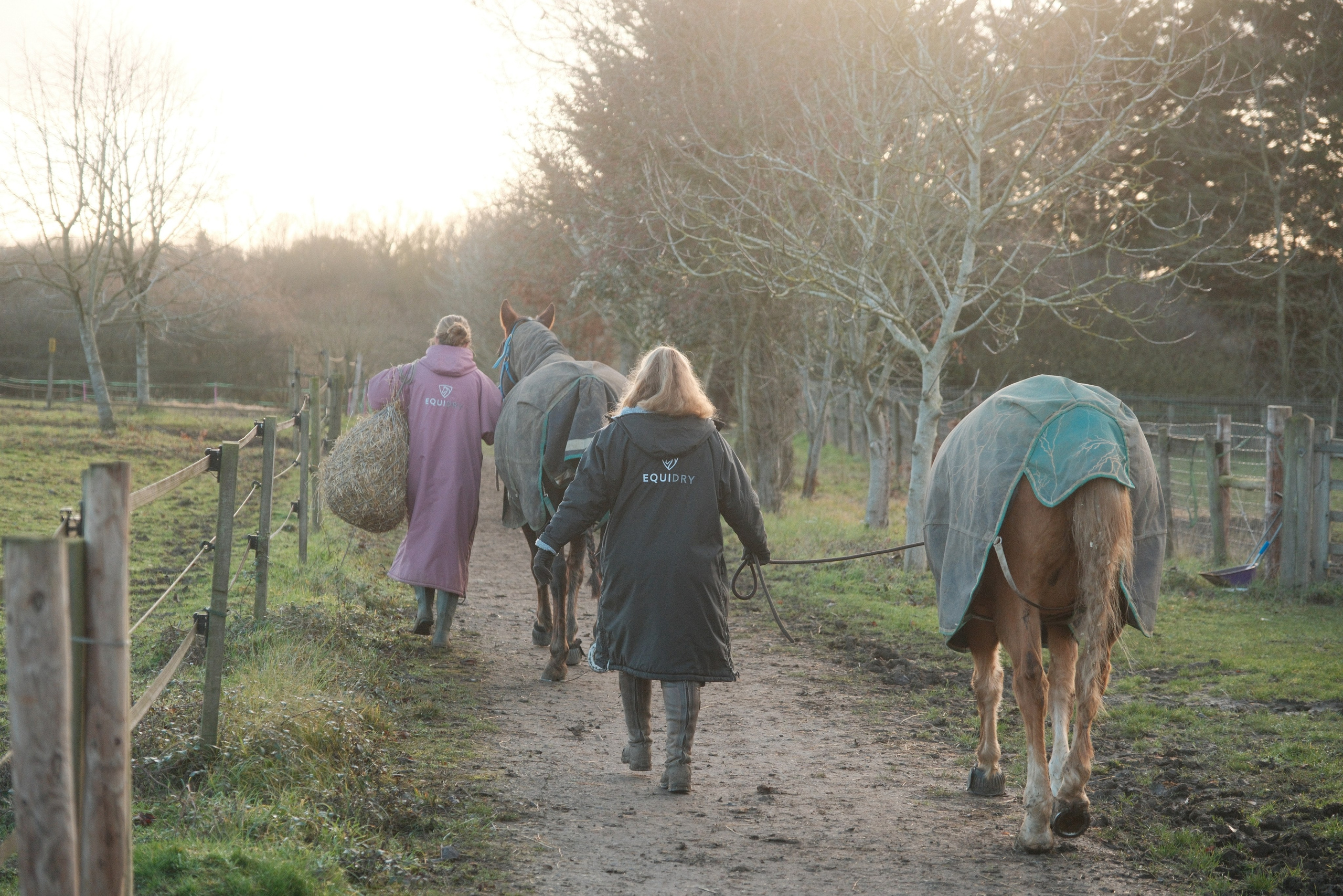 Portrait photography with Fudge the horse. Cal Takes Photos
