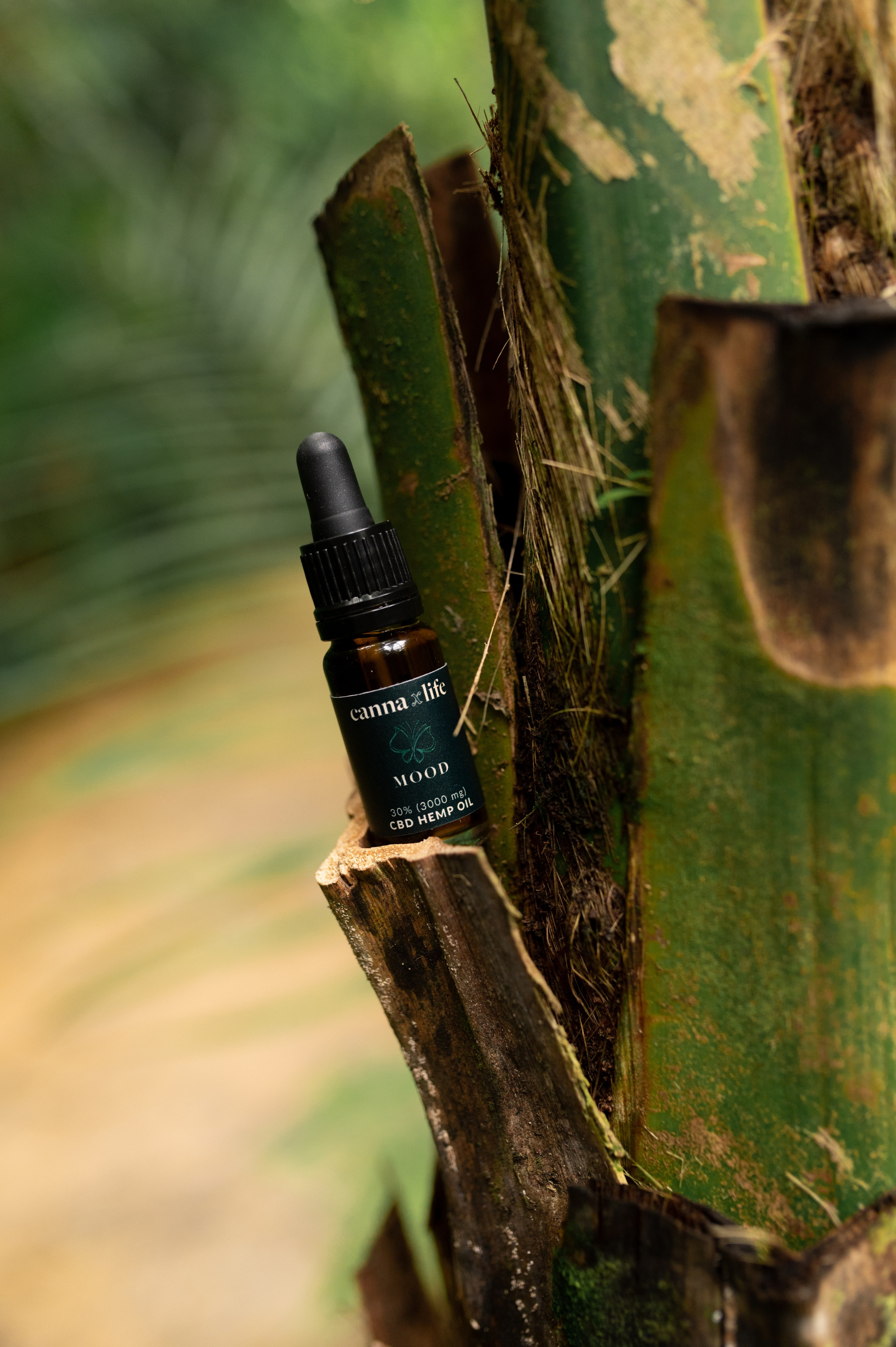 CannaXlife CBD products. ANNA-MARIA PHOTO CONTENT CREATOR — фотограф, эстет, художник и визуальный эксперт в Instagram, работающий в Праге