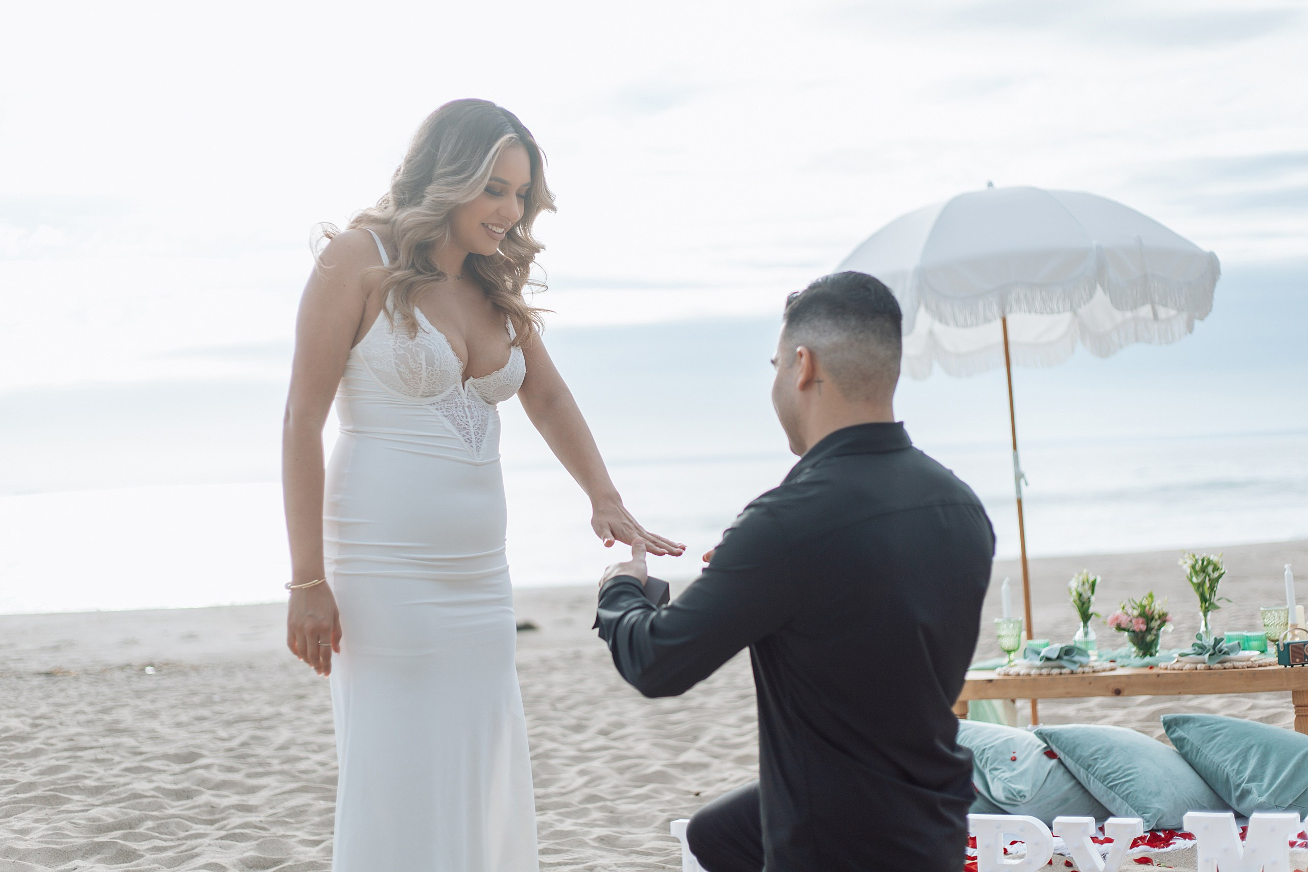 Proposal in the Malibu. Main