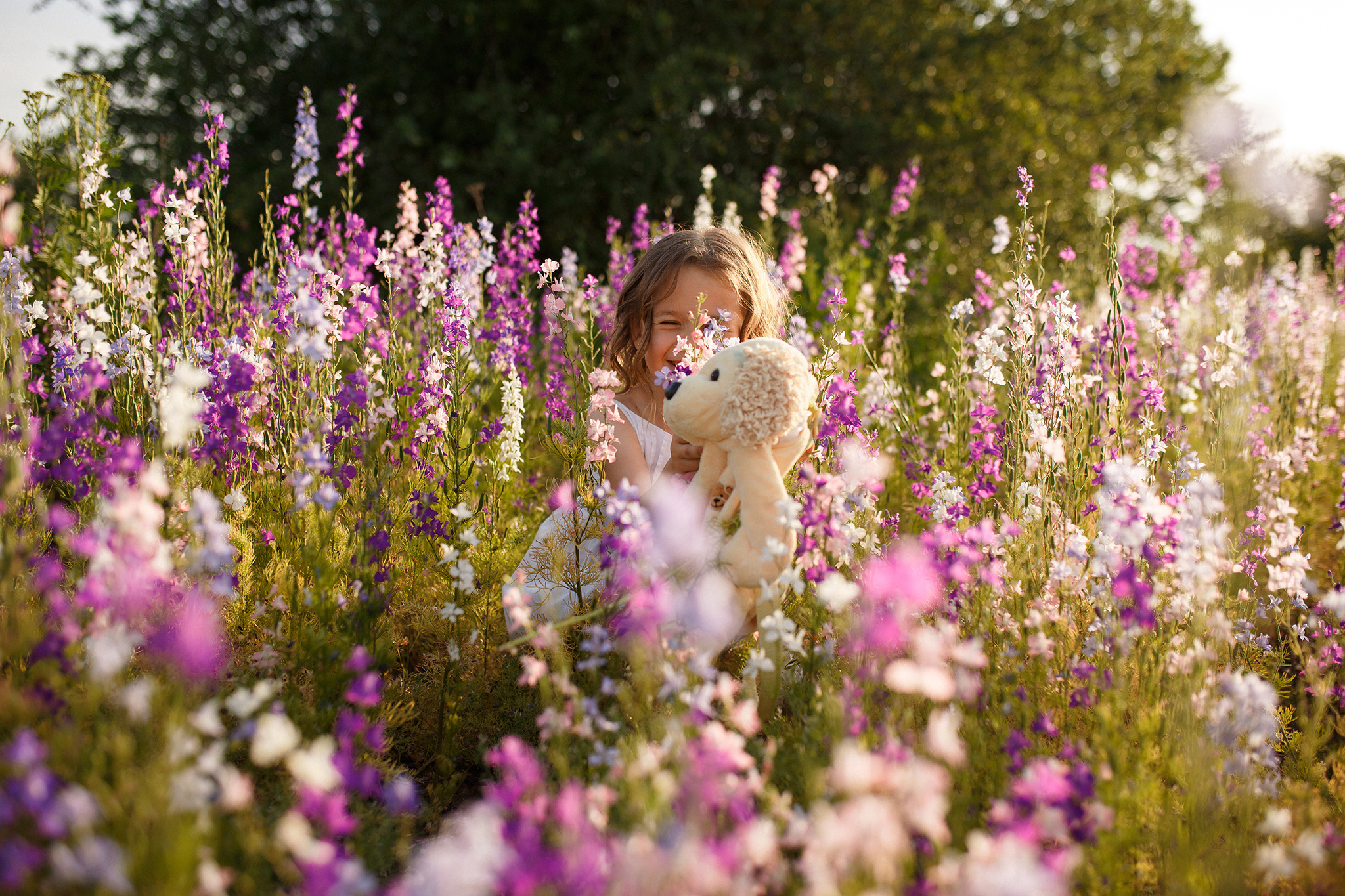Sofy. Fotograf de nuntă și de familie — Dinu Bargan