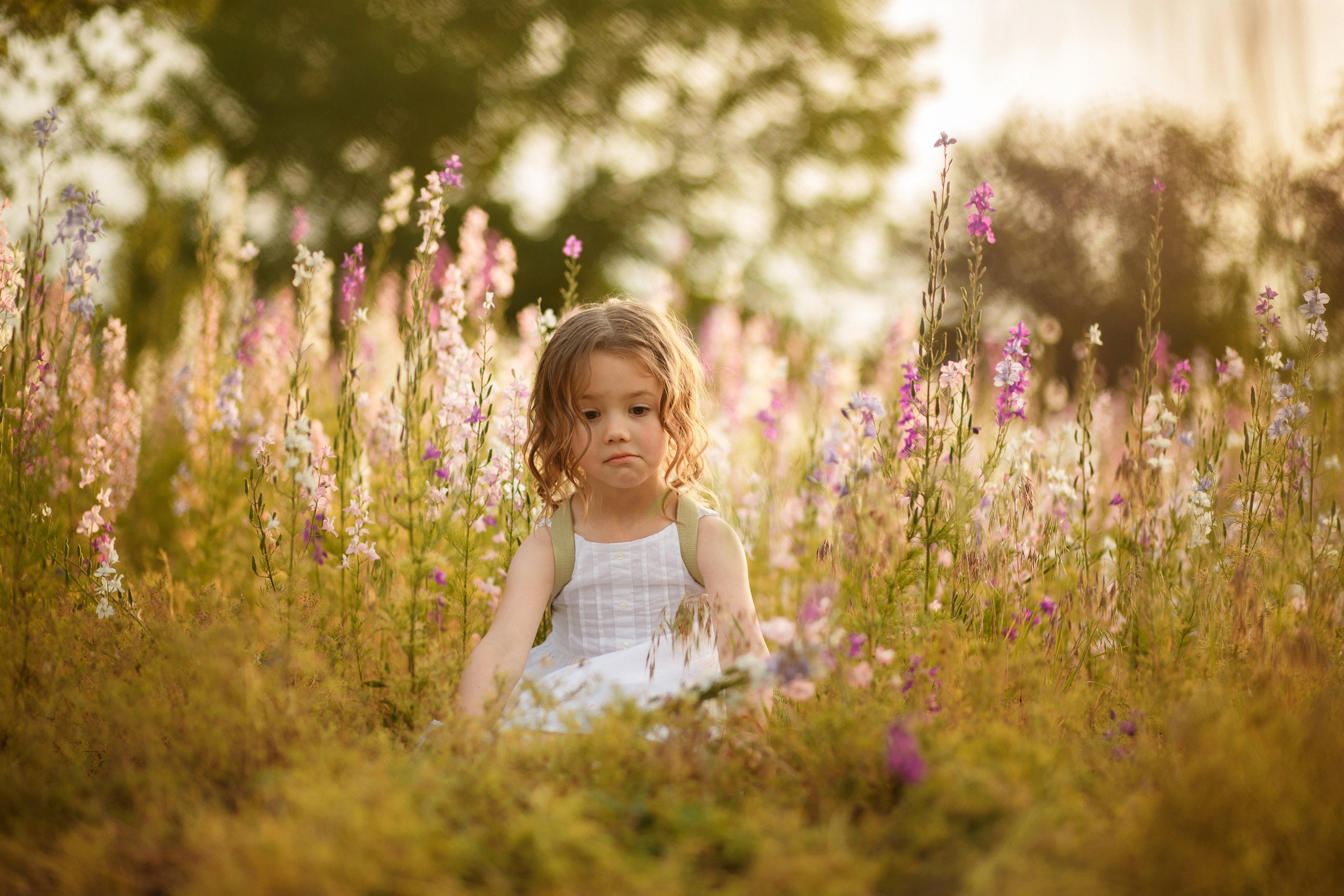 Sofy. Fotograf de nuntă și de familie — Dinu Bargan