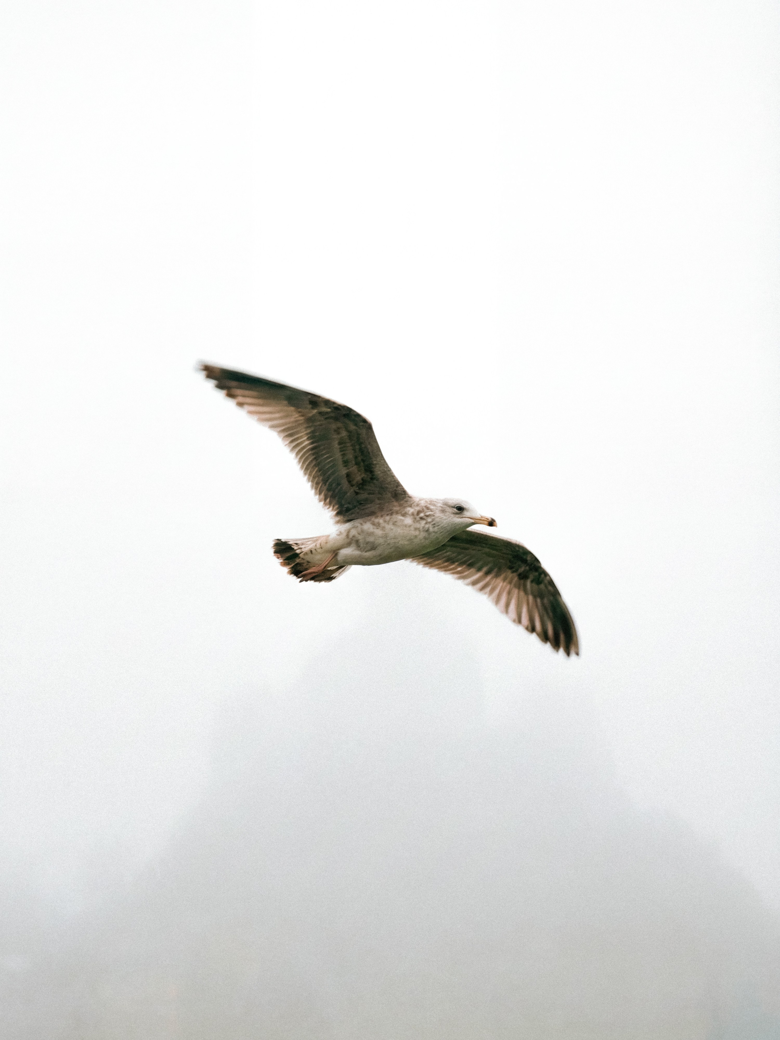 Photos of places around the World