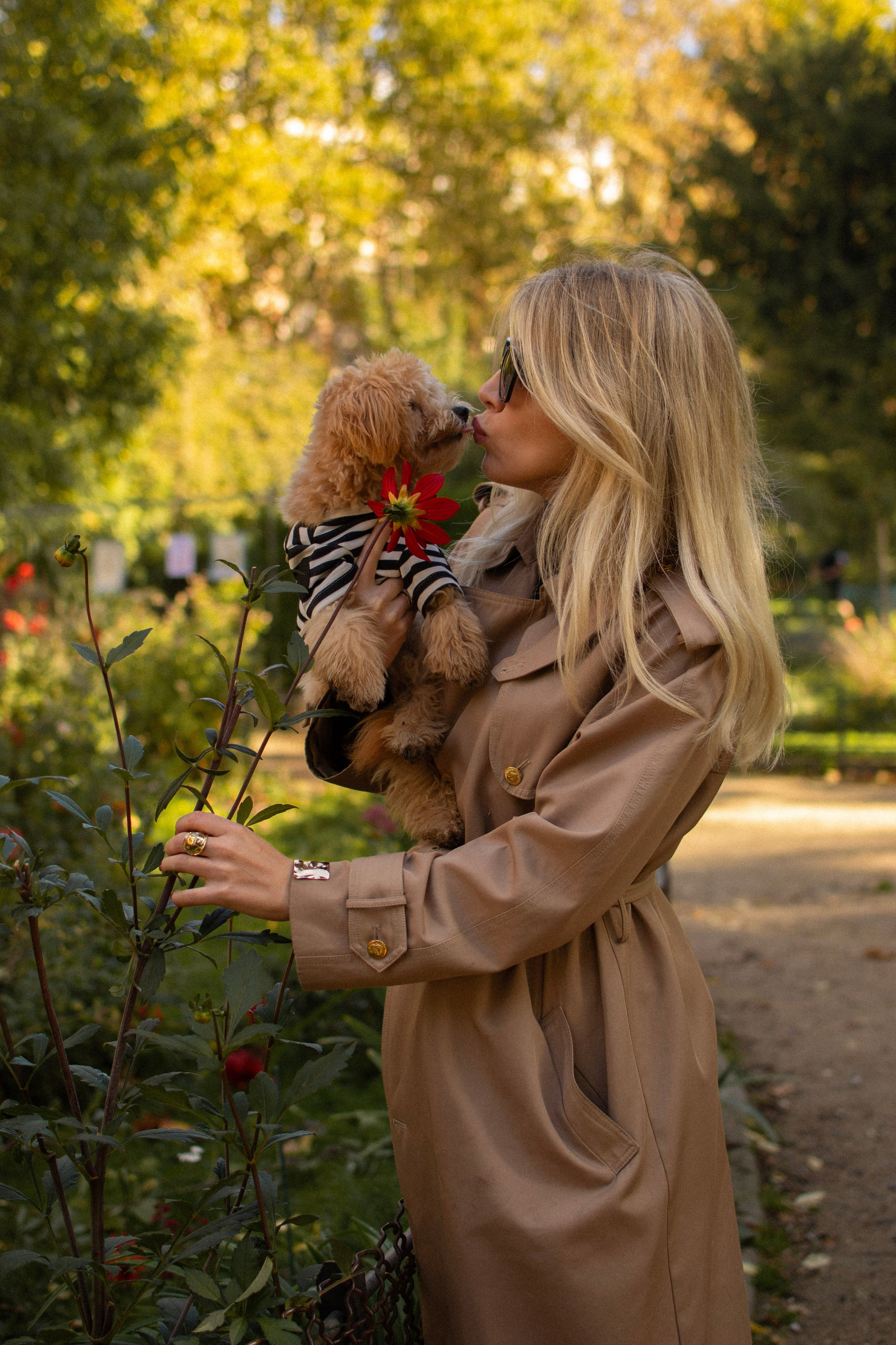 Barney, Nastya et Kolya. Photographe animalier à Paris Anna Pereira