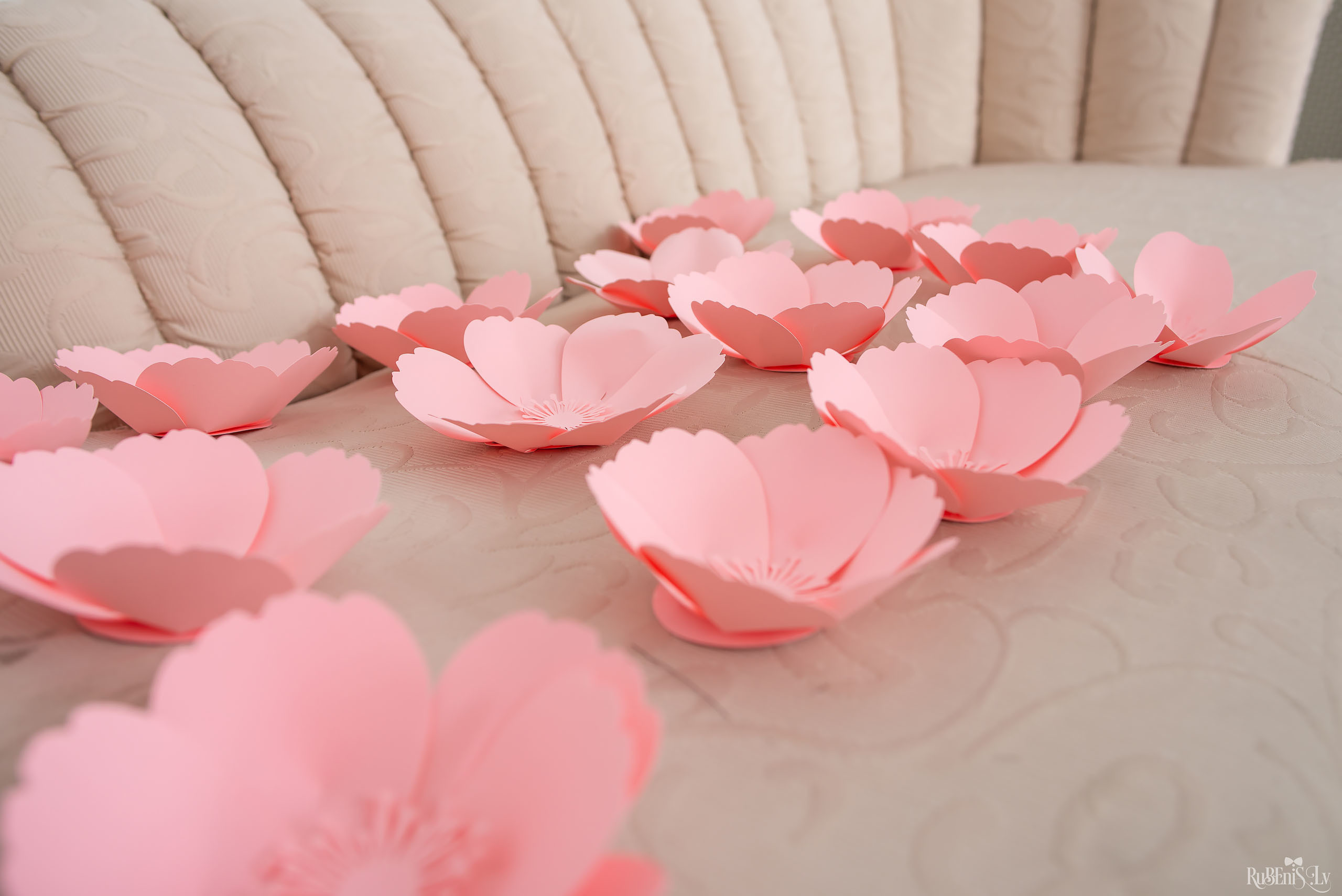 Fotogrāfs Romualds Rubenis un Artemijs Stašāns