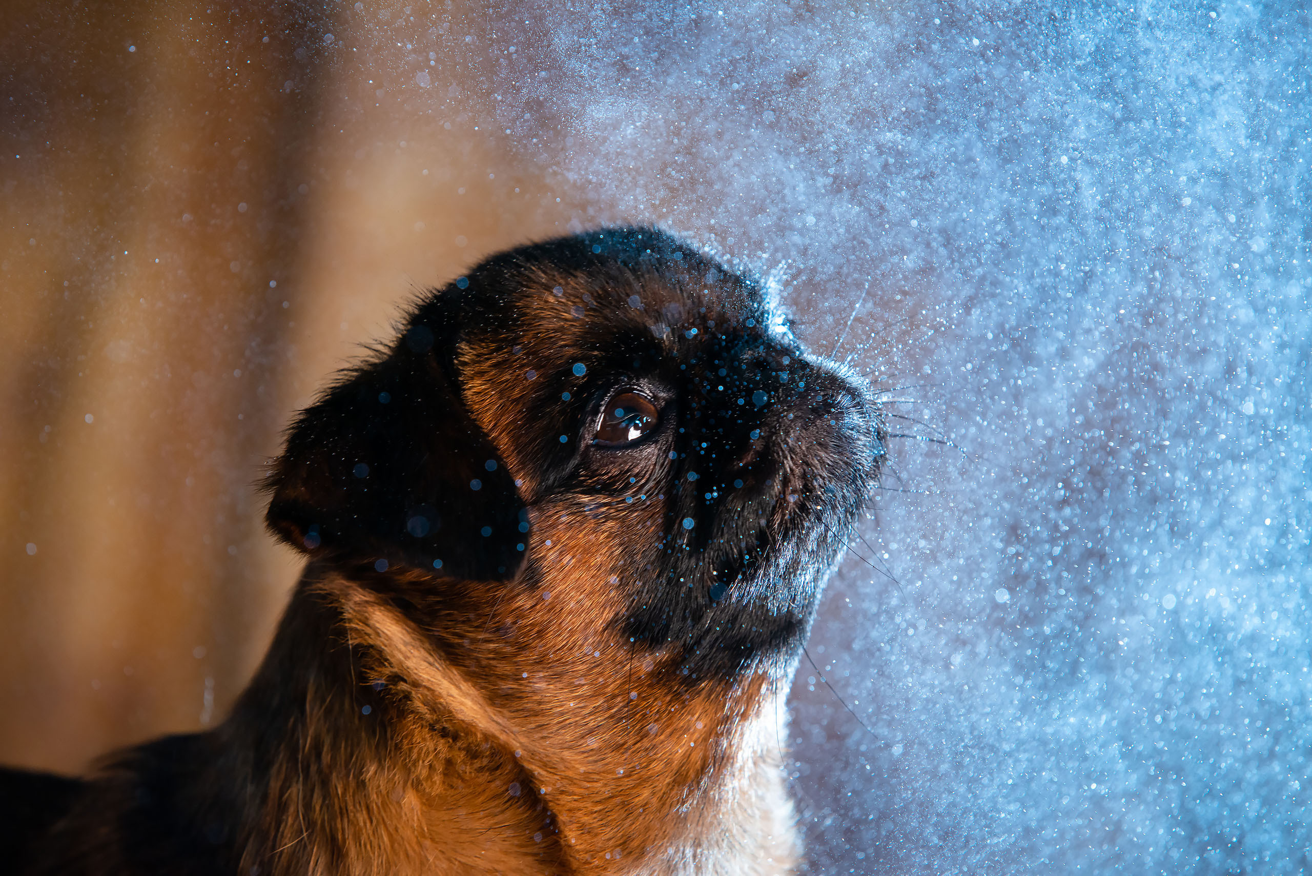 Fotogrāfs Romualds Rubenis un Artemijs Stašāns