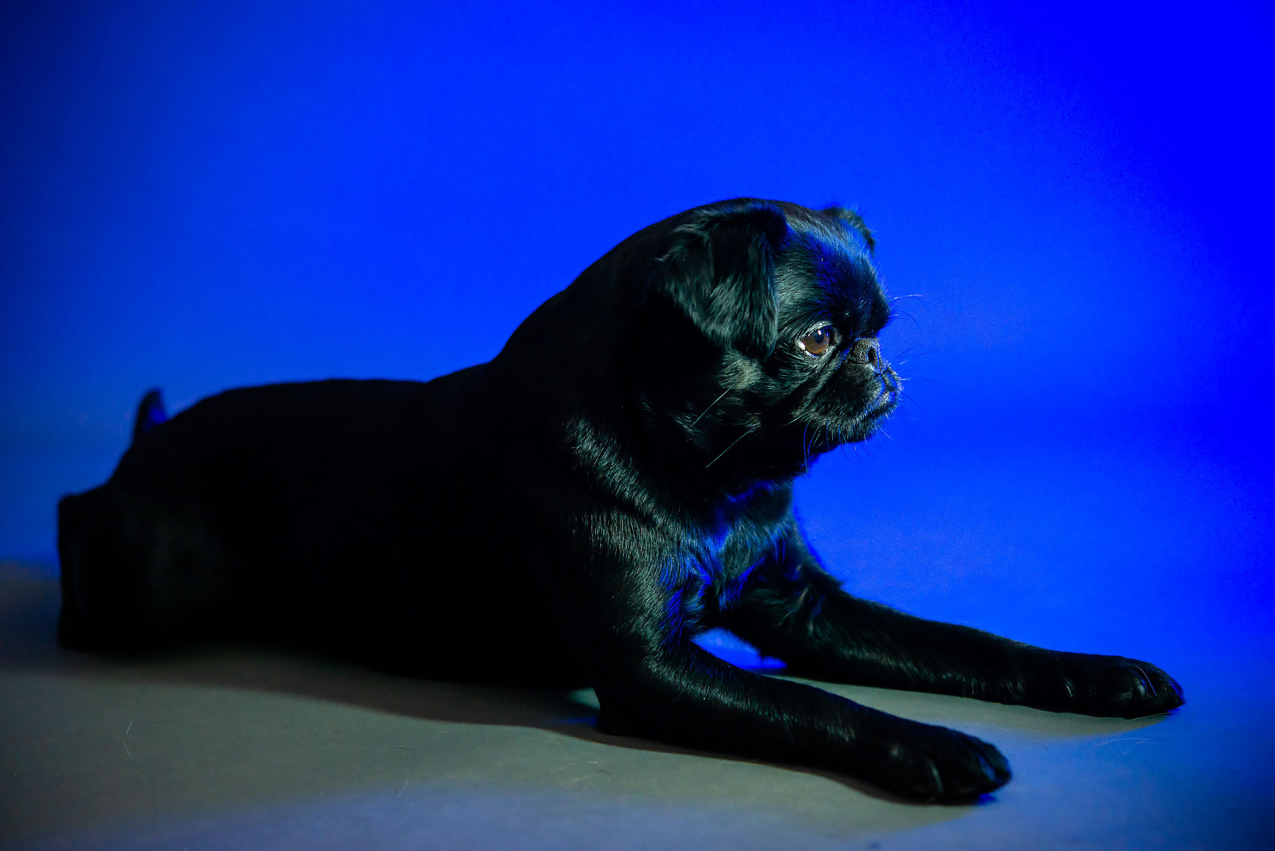 Fotogrāfs Romualds Rubenis un Artemijs Stašāns