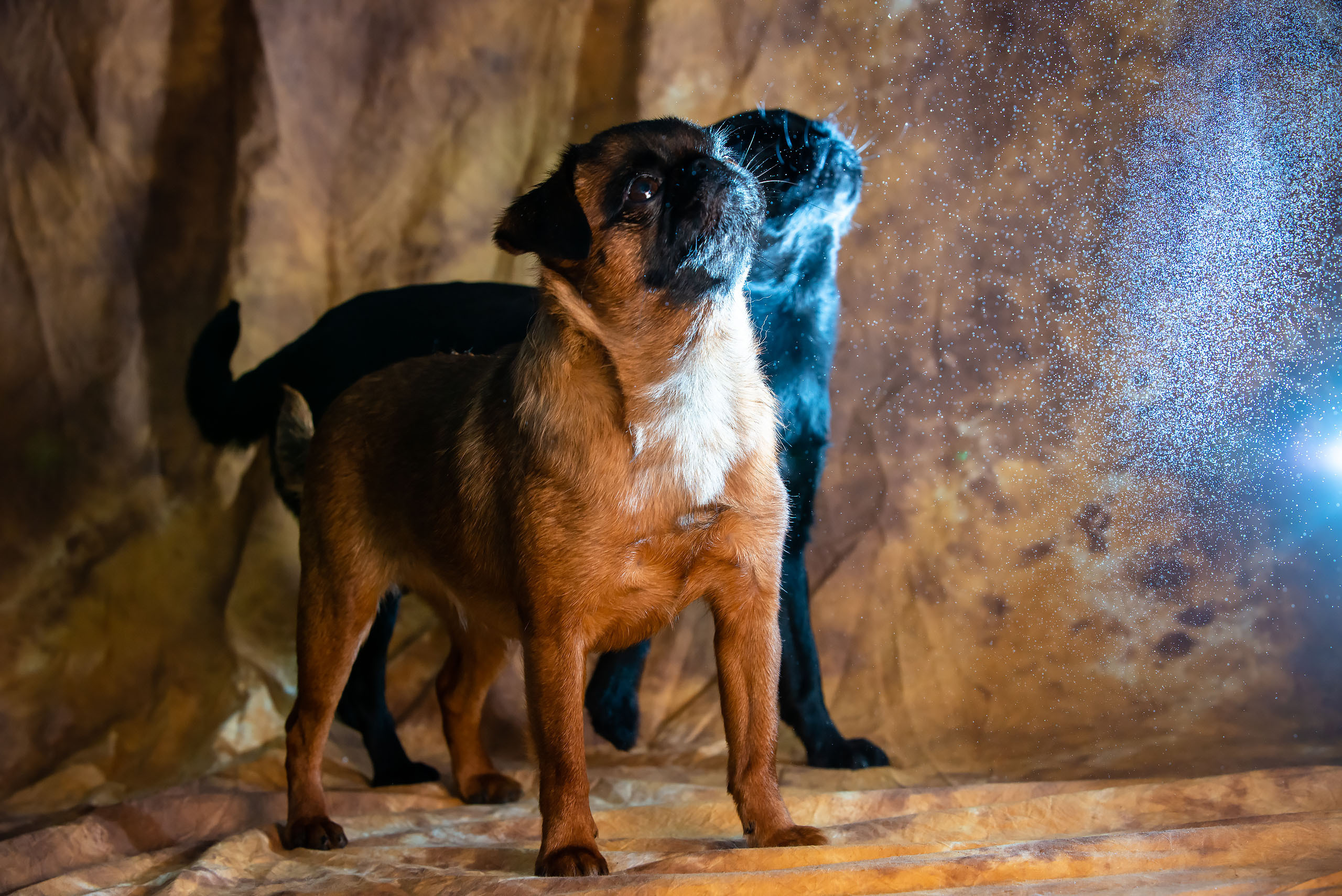 Fotogrāfs Romualds Rubenis un Artemijs Stašāns