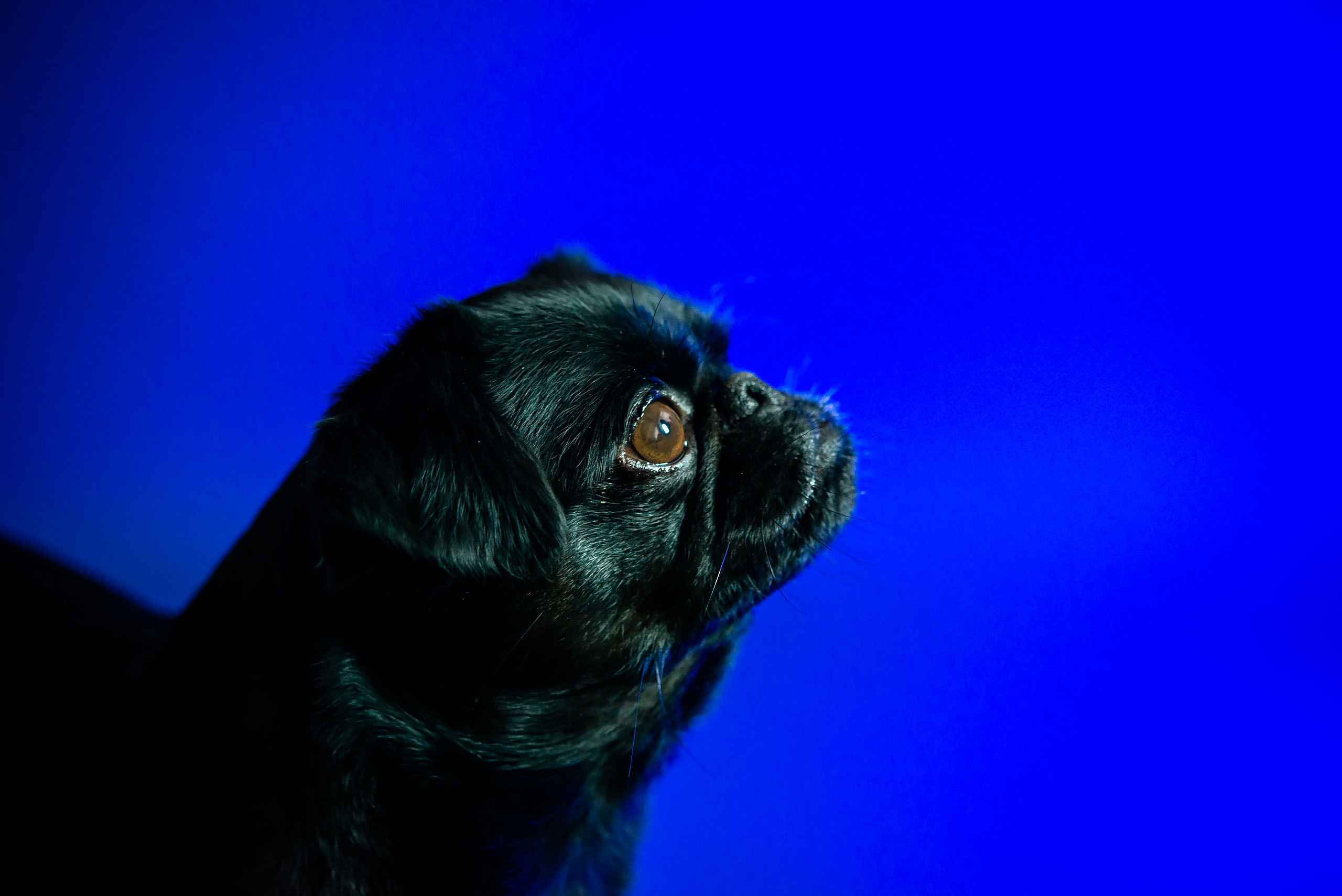 Fotogrāfs Romualds Rubenis un Artemijs Stašāns