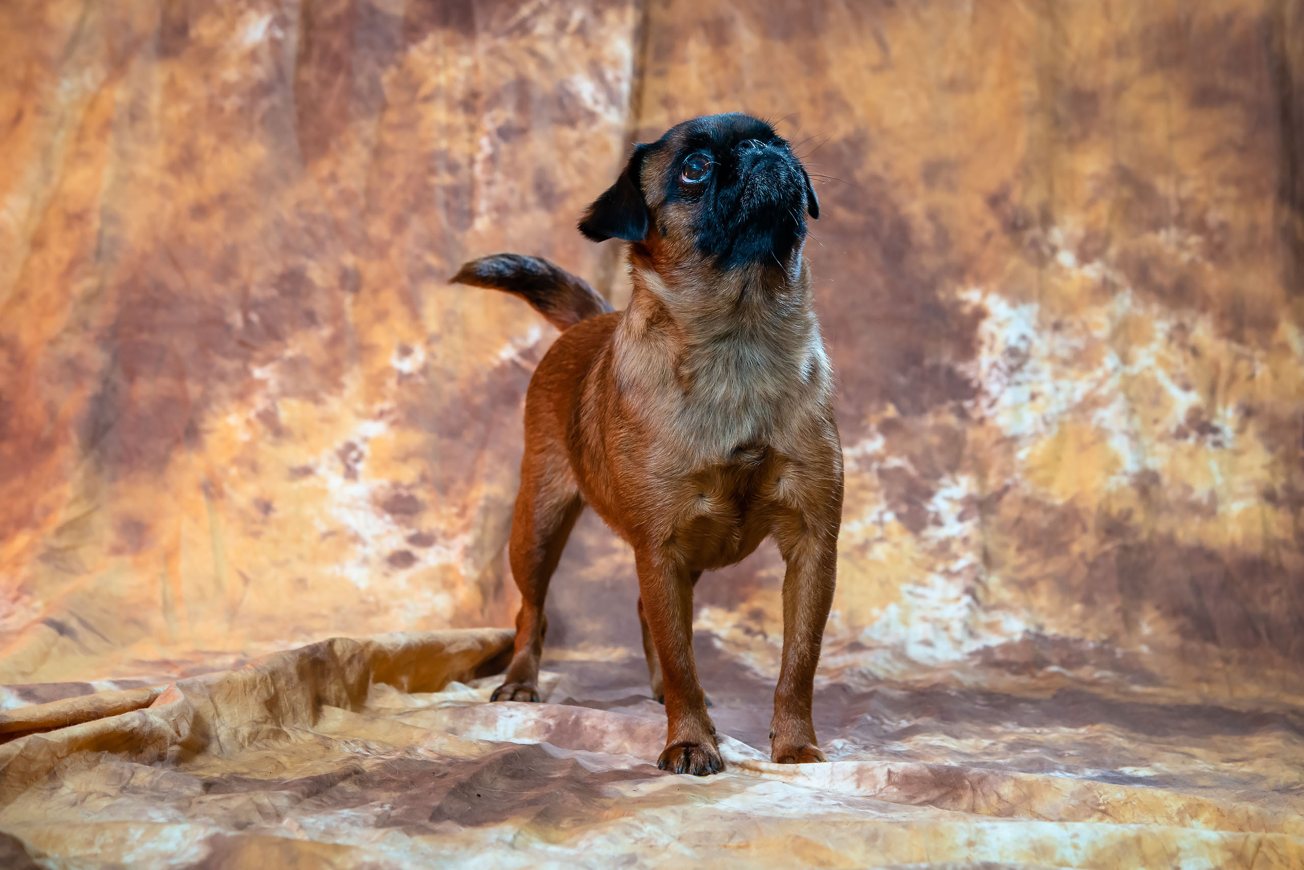 Fotogrāfs Romualds Rubenis un Artemijs Stašāns