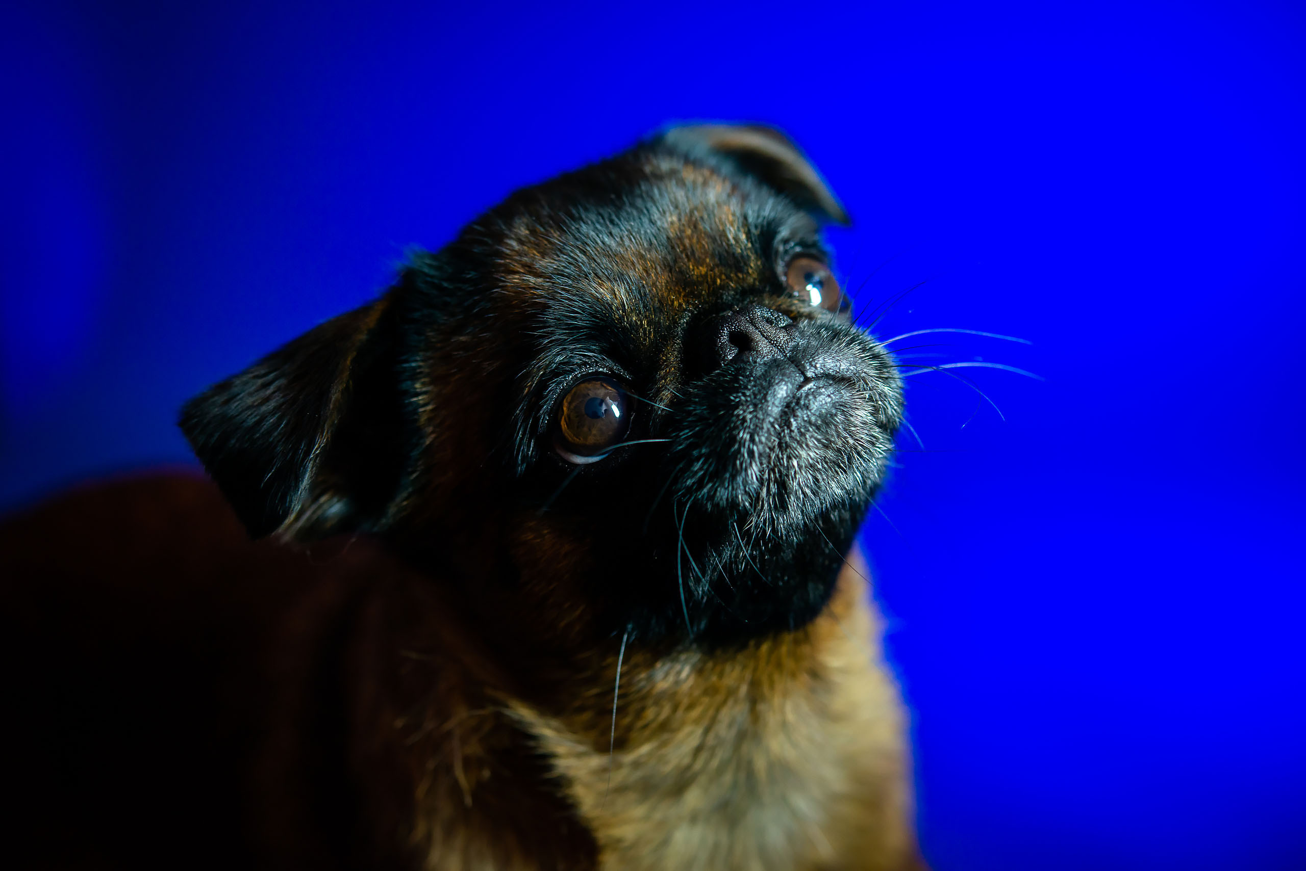 Fotogrāfs Romualds Rubenis un Artemijs Stašāns