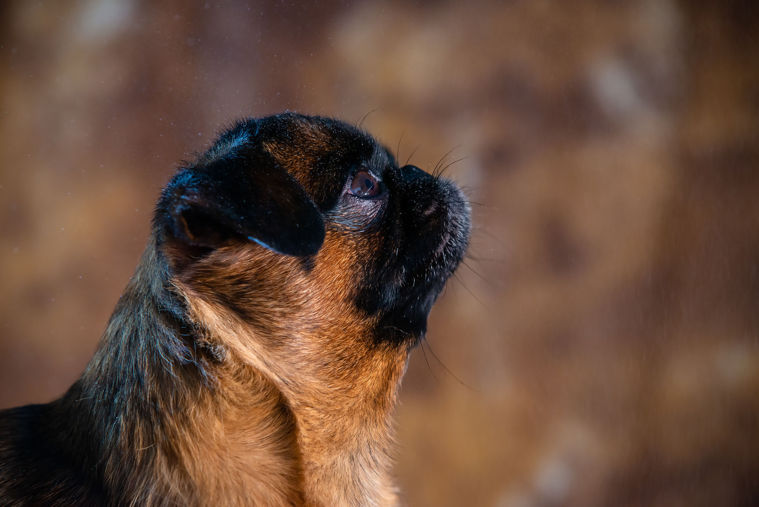 Fotogrāfs Romualds Rubenis un Artemijs Stašāns