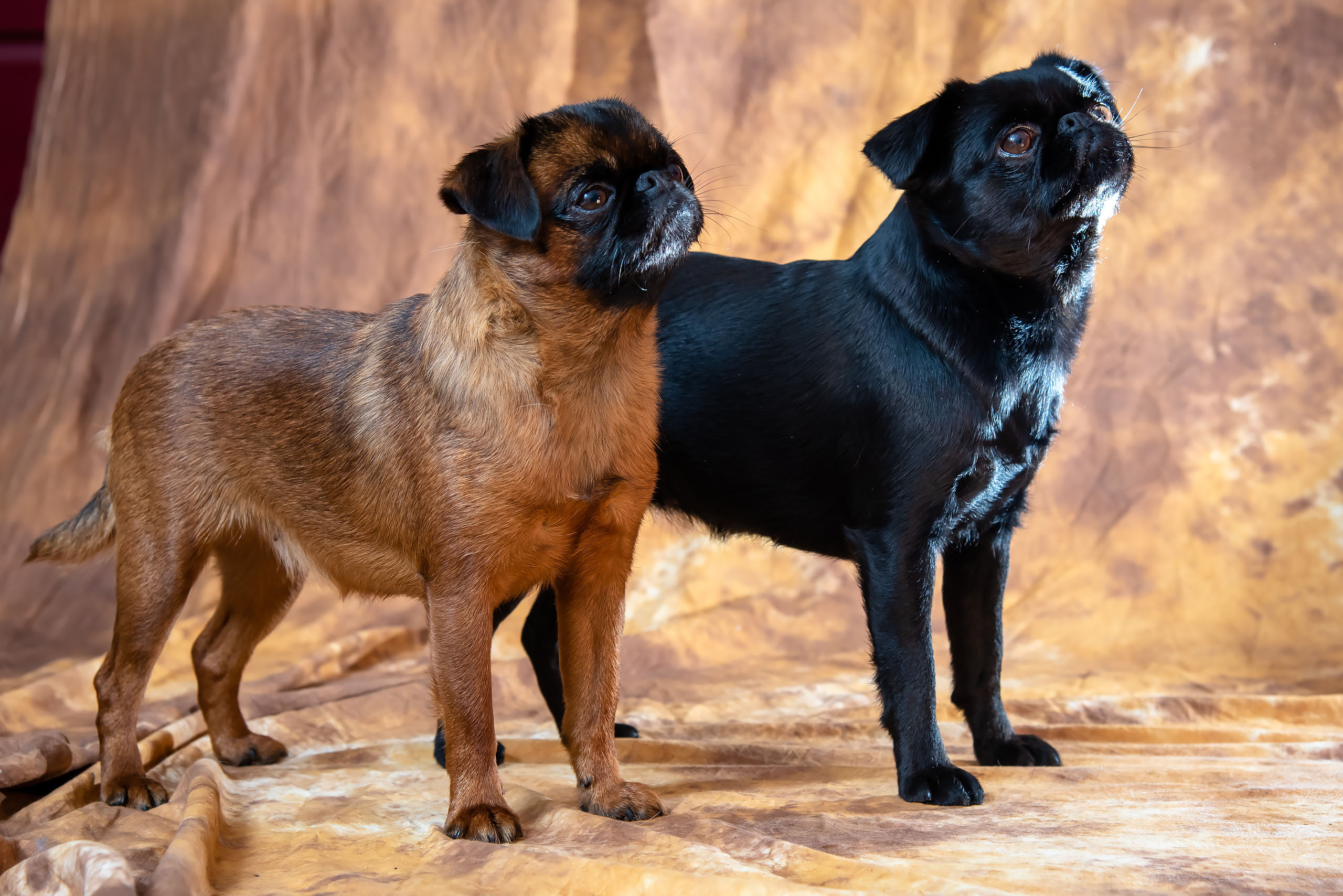 Fotogrāfs Romualds Rubenis un Artemijs Stašāns