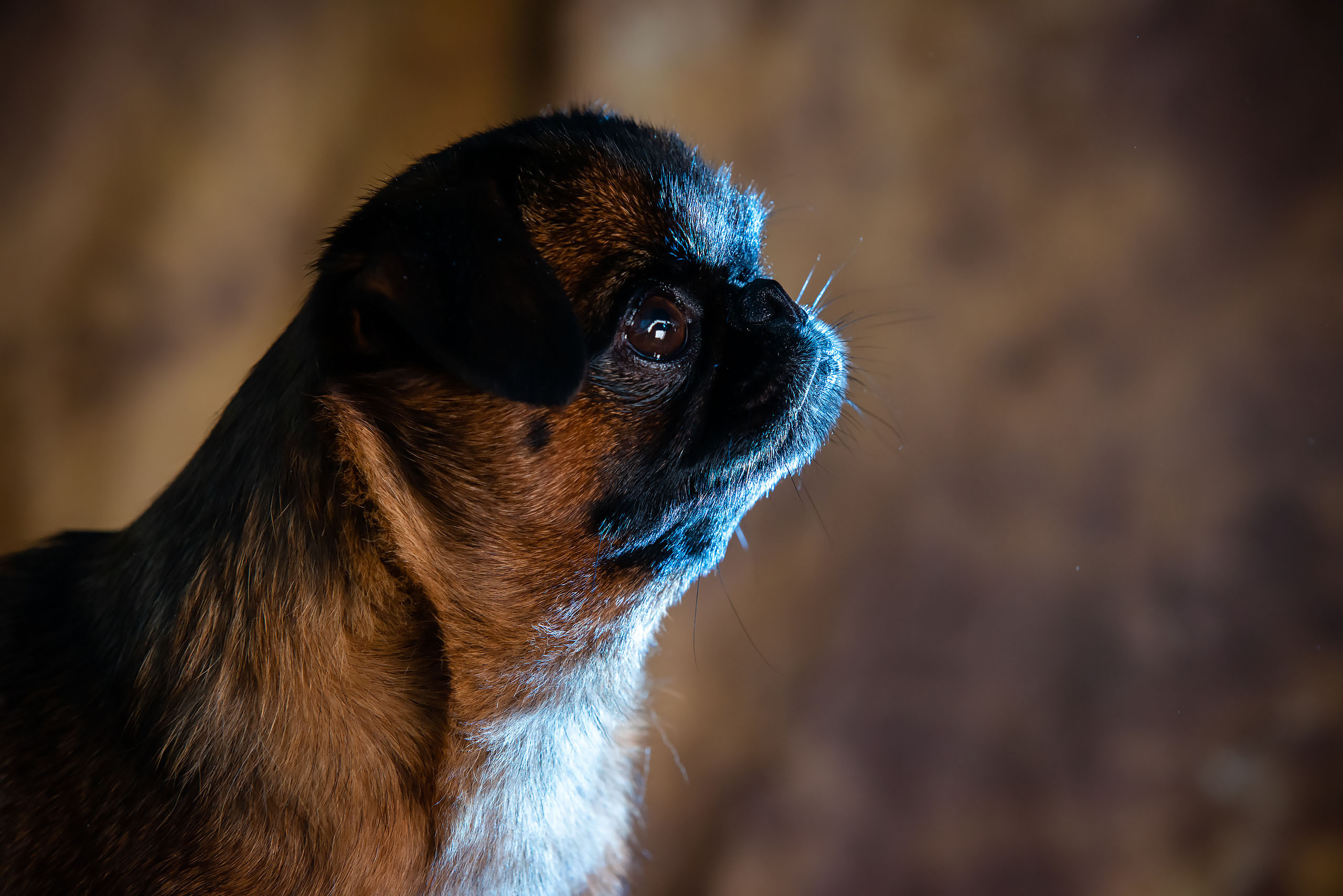 Fotogrāfs Romualds Rubenis un Artemijs Stašāns