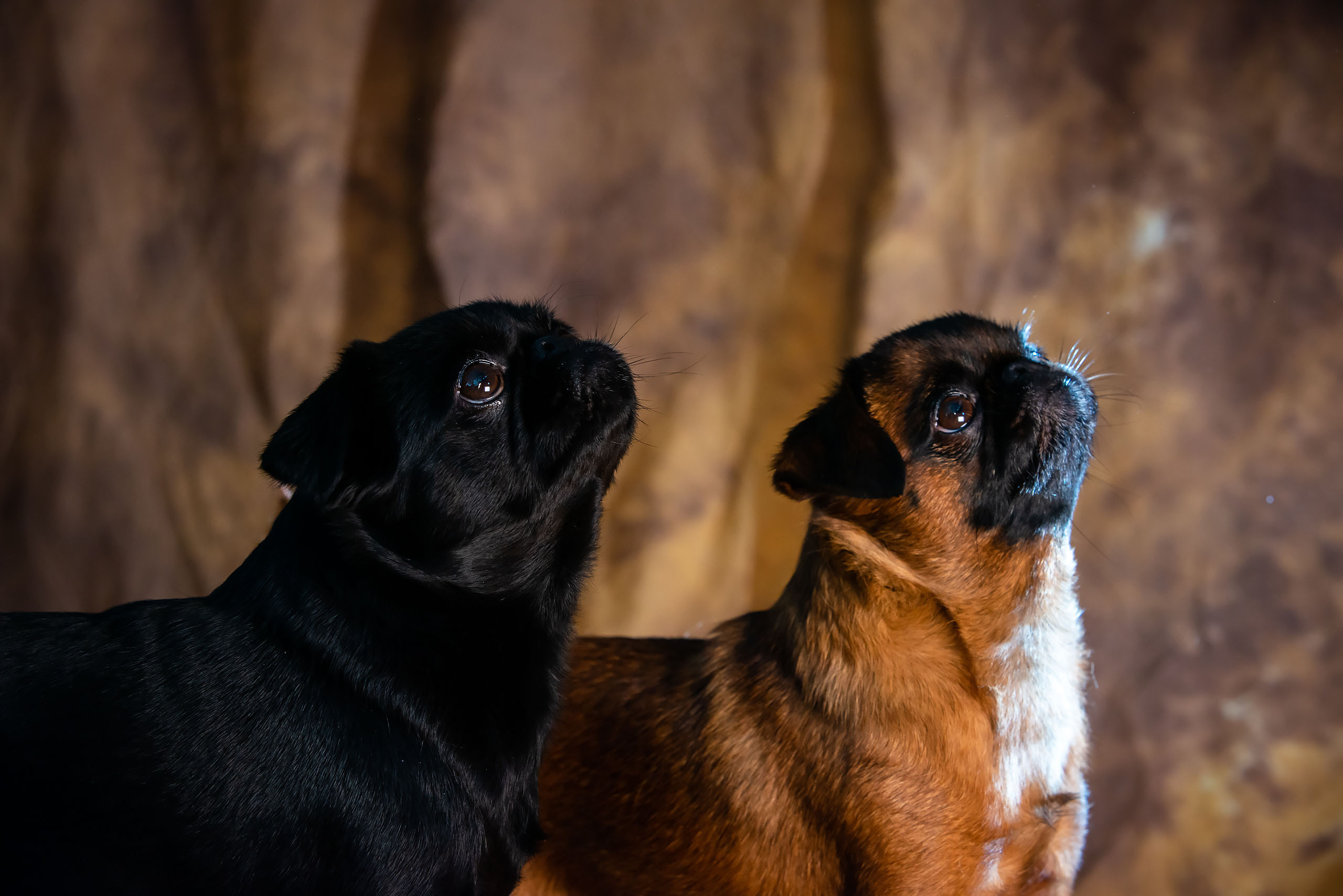 Fotogrāfs Romualds Rubenis un Artemijs Stašāns