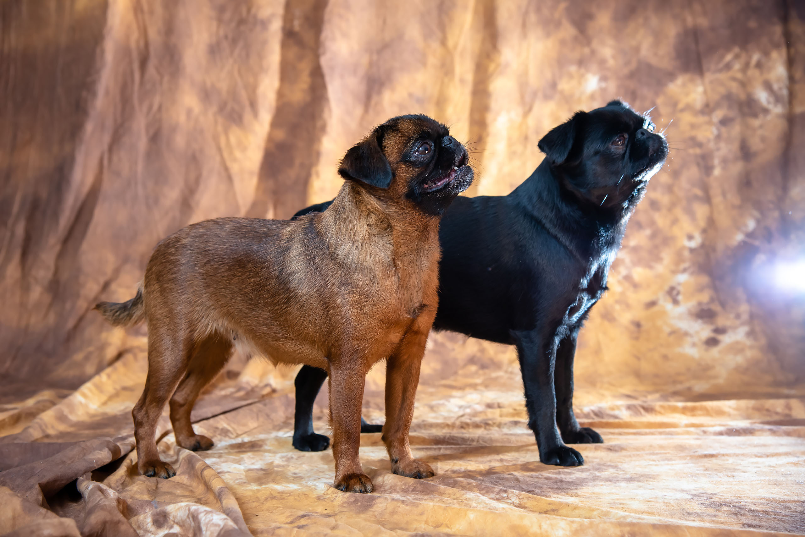 Fotogrāfs Romualds Rubenis un Artemijs Stašāns