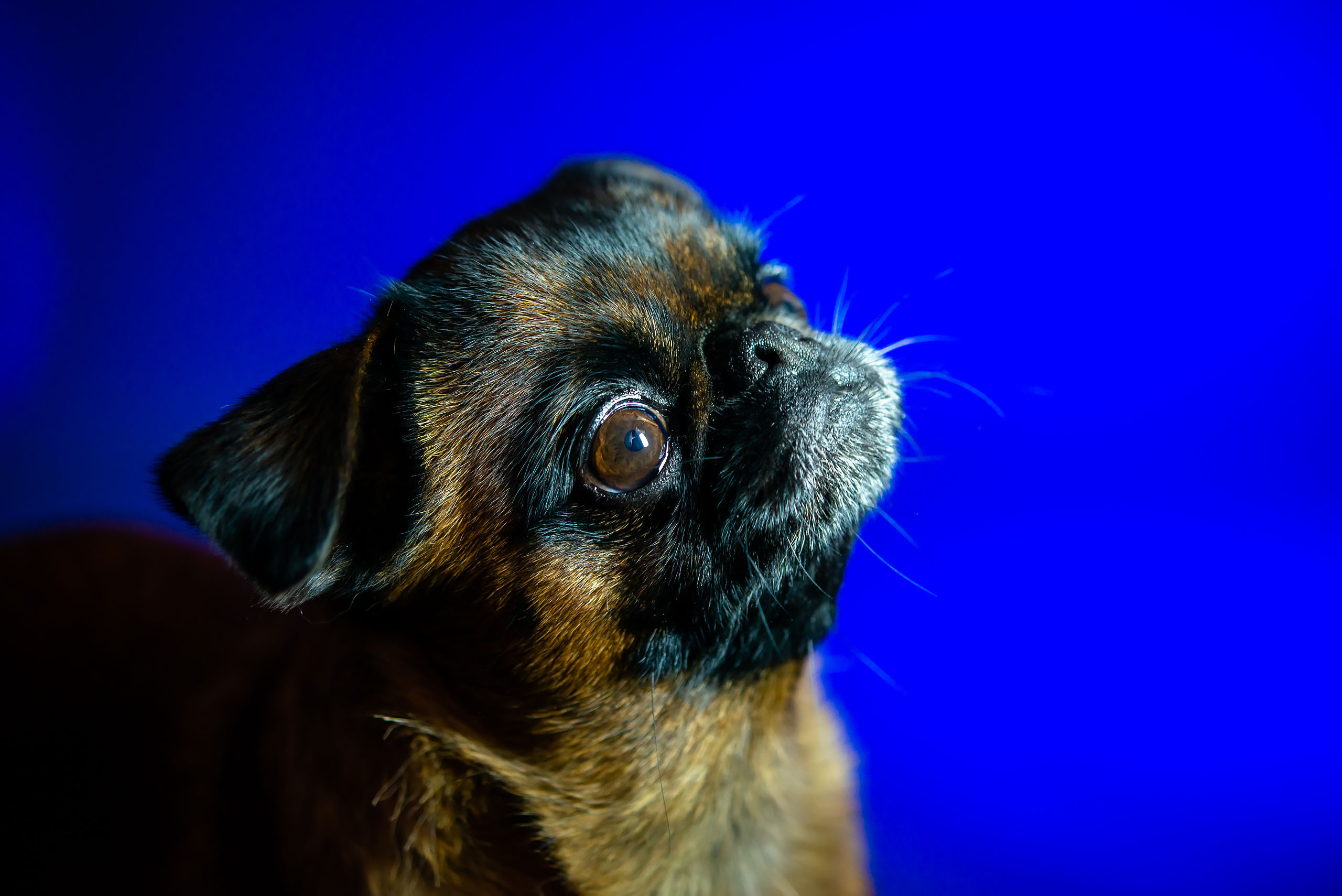 Fotogrāfs Romualds Rubenis un Artemijs Stašāns