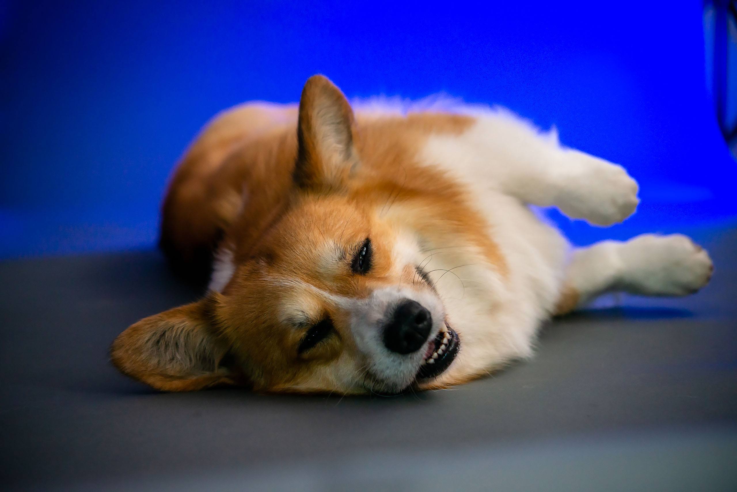 Fotogrāfs Romualds Rubenis un Artemijs Stašāns