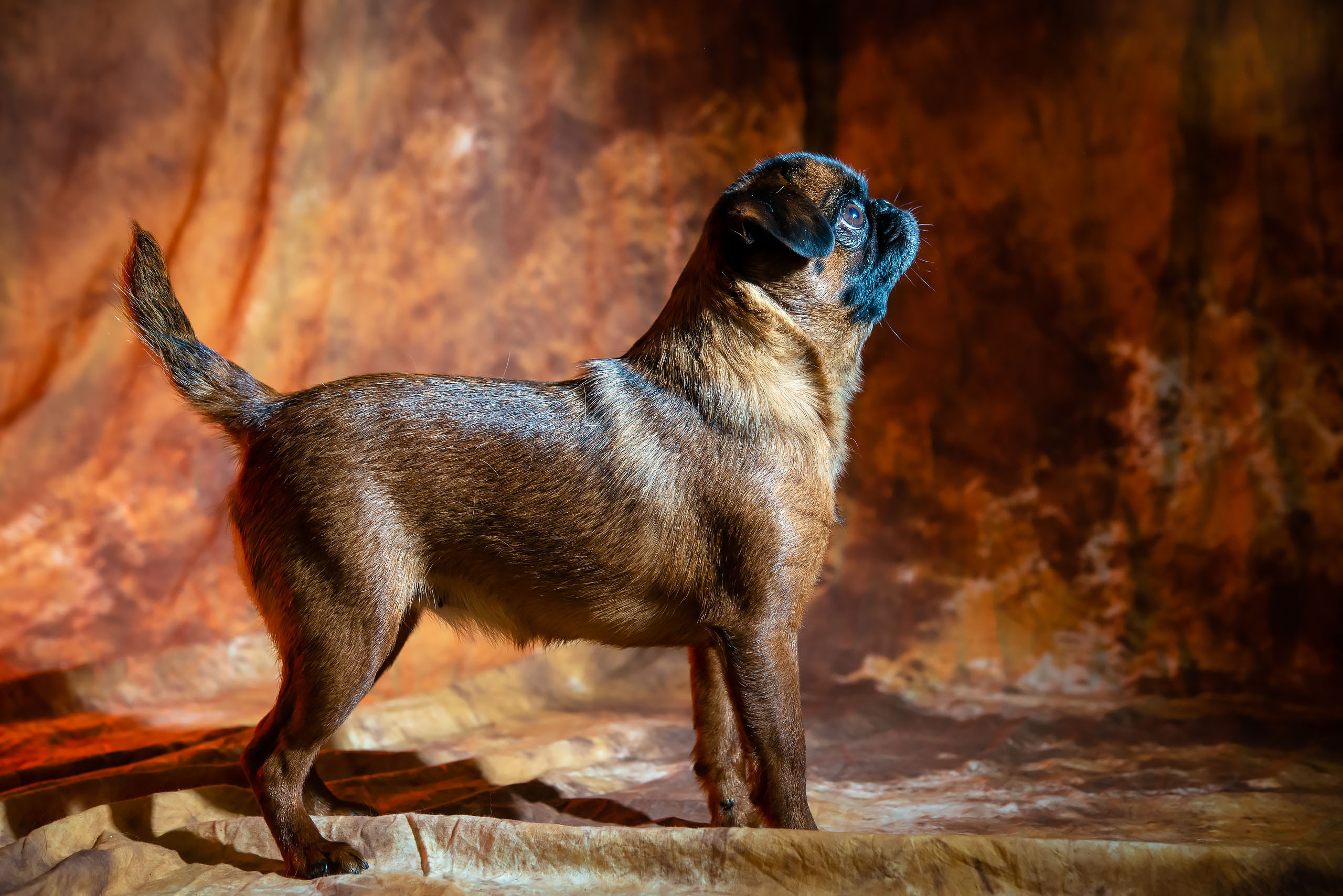 Fotogrāfs Romualds Rubenis un Artemijs Stašāns
