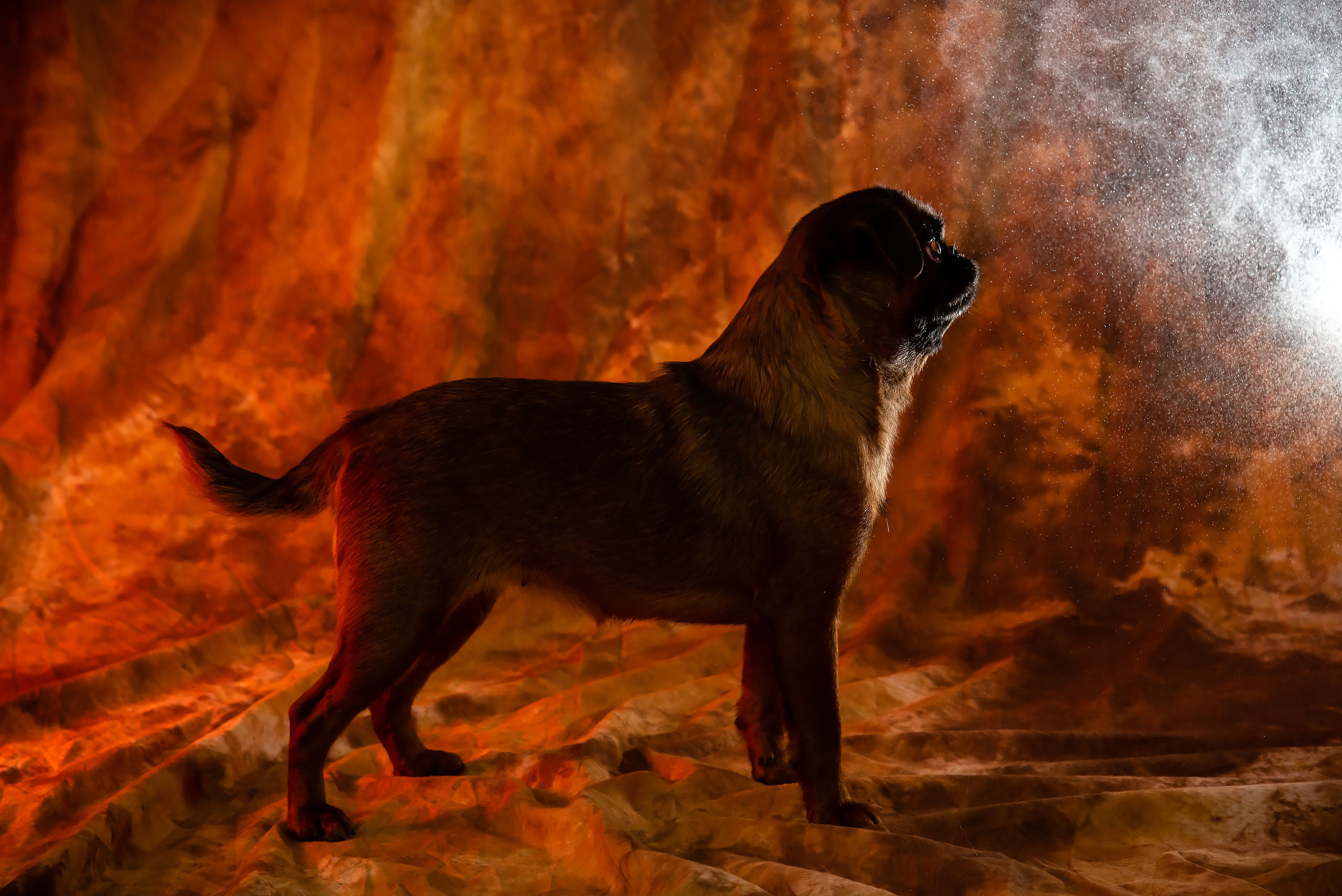 Fotogrāfs Romualds Rubenis un Artemijs Stašāns