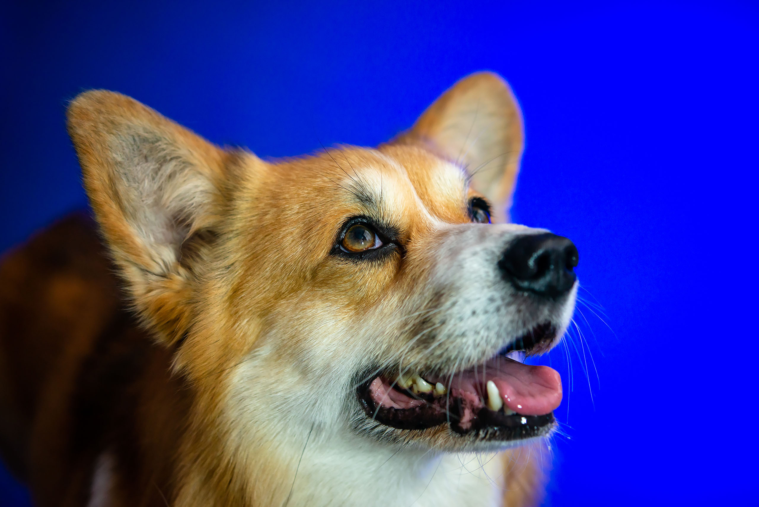 Fotogrāfs Romualds Rubenis un Artemijs Stašāns