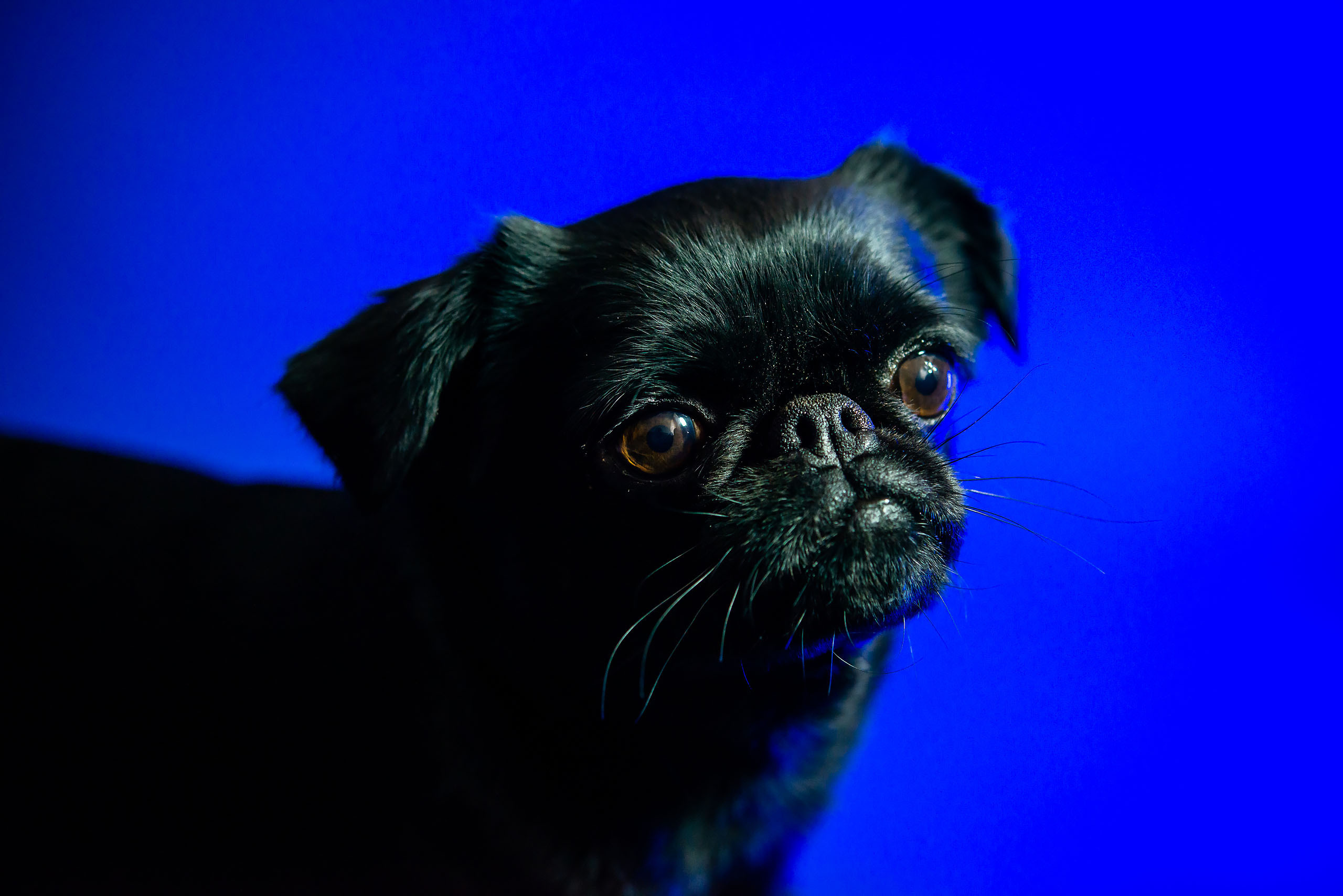 Fotogrāfs Romualds Rubenis un Artemijs Stašāns