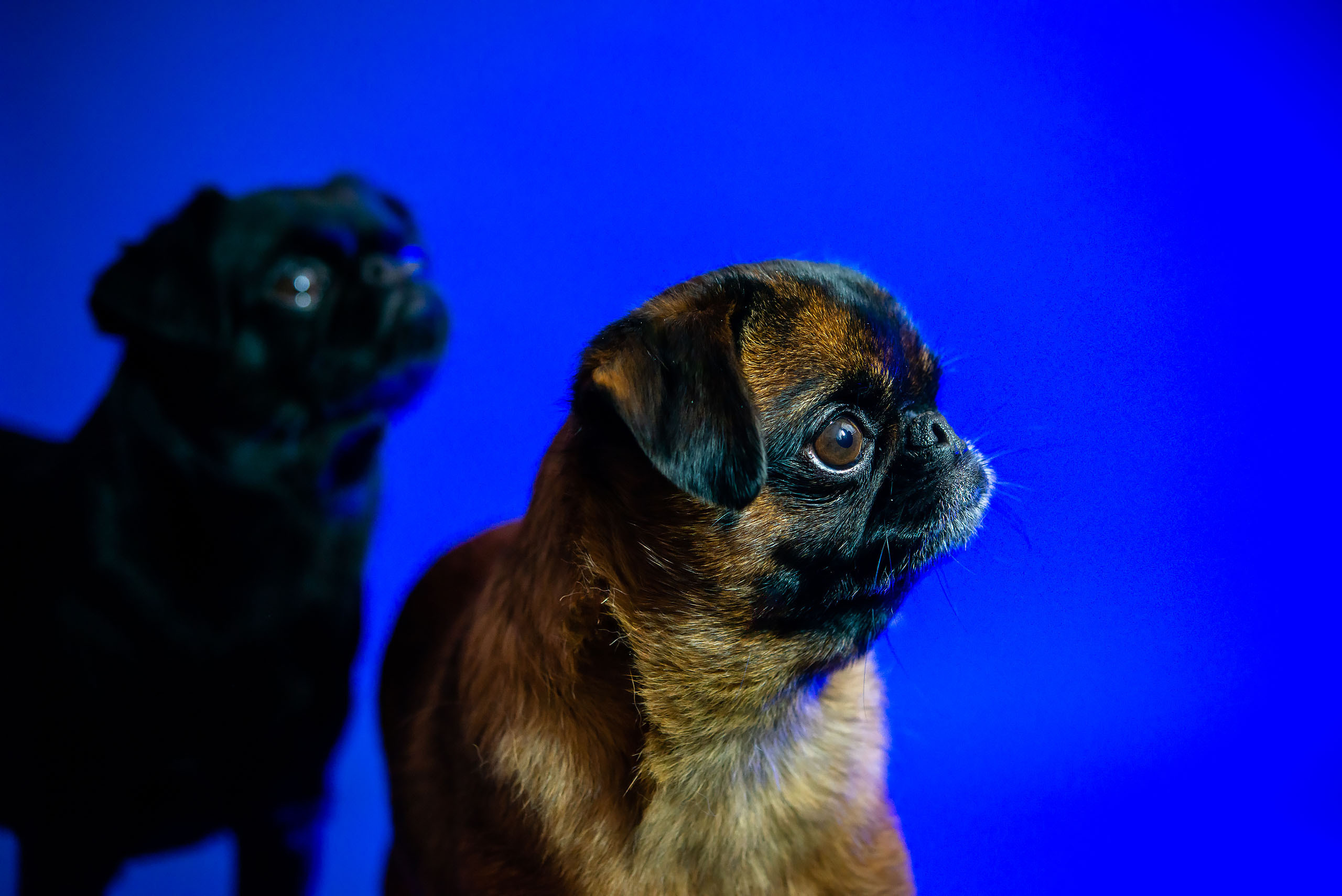 Fotogrāfs Romualds Rubenis un Artemijs Stašāns