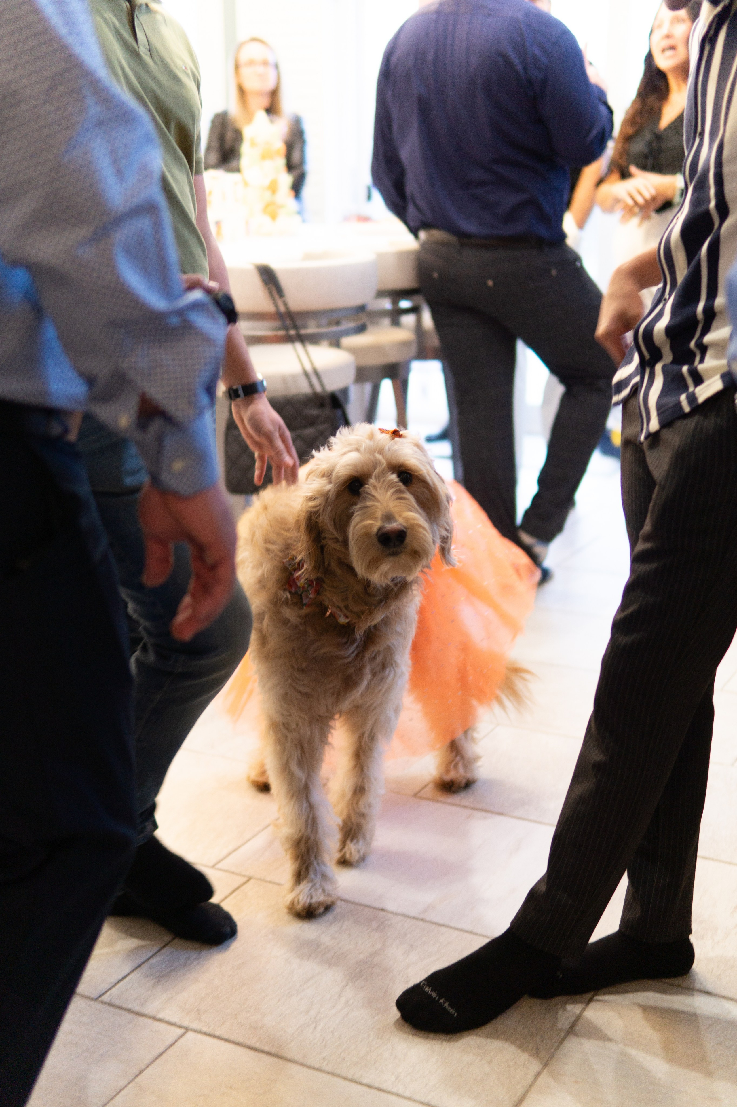 Event. Marina Baliakina | Personal and Couples Photographer | Toronto Canada