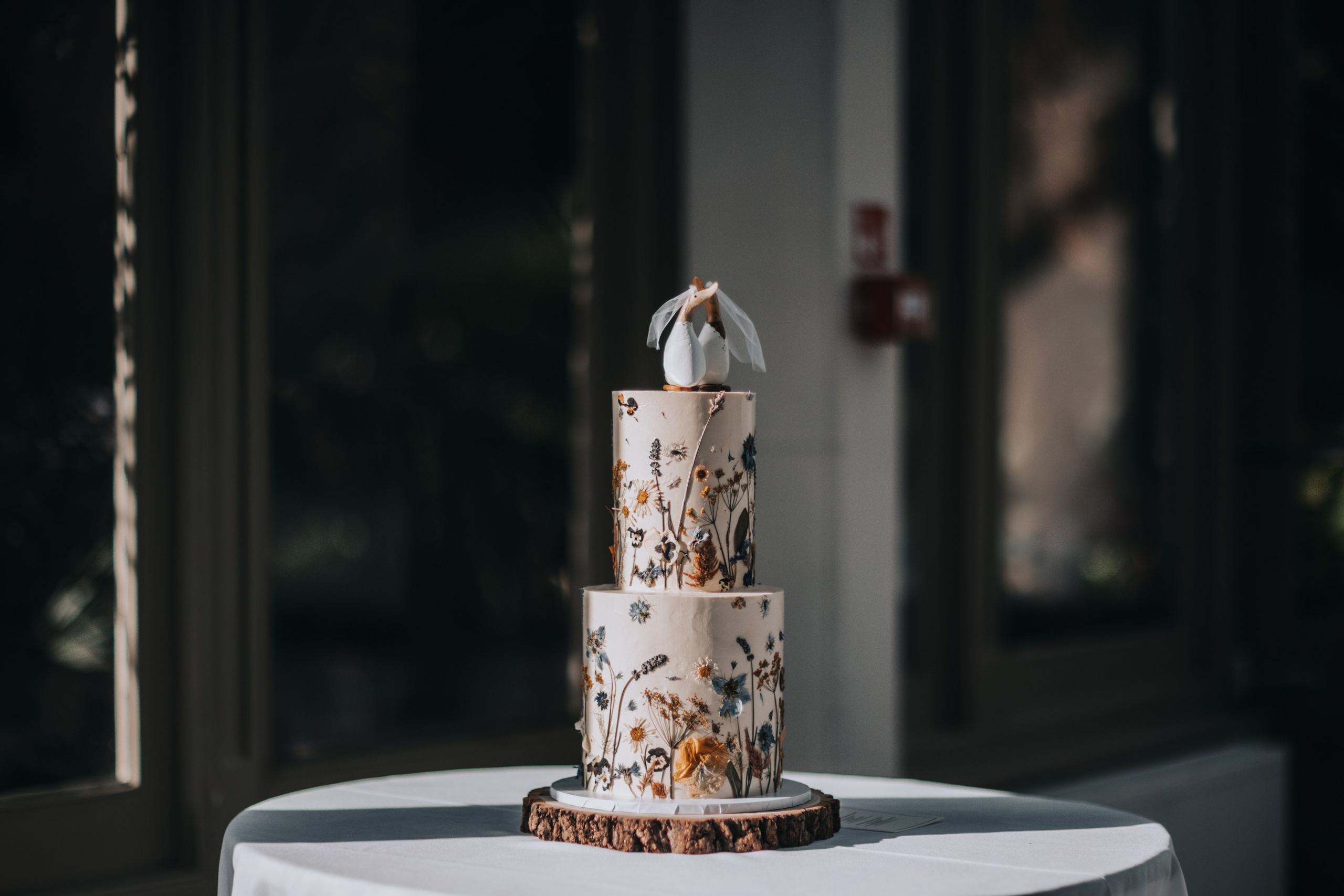 GEMMA + BIANCA. Main