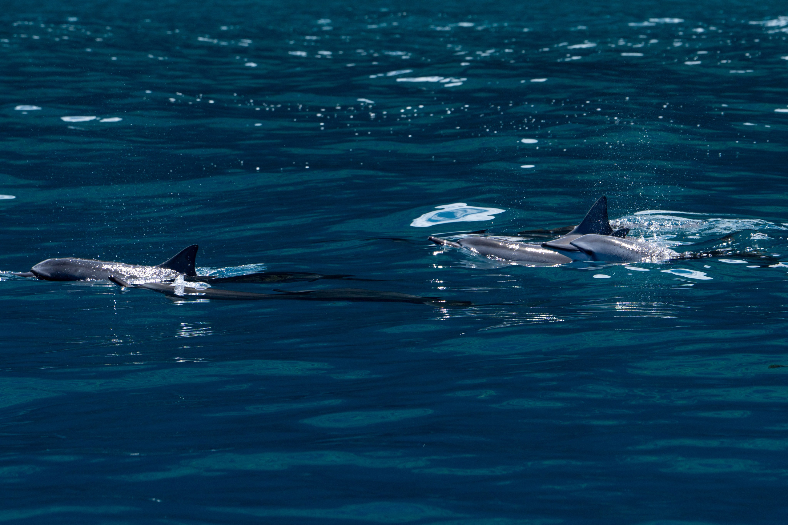 LANDSCAPES. Awards winning photographer in Kauai, Hawaii