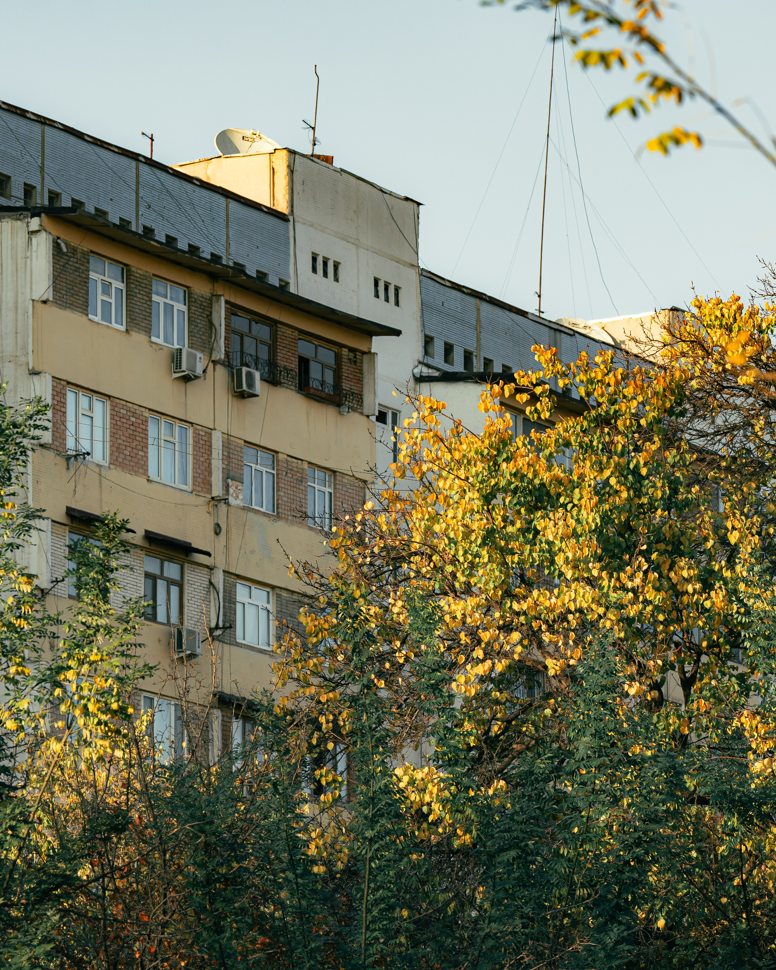 Ташкентская осень. Георгий Намазов | Фотограф в Ташкенте