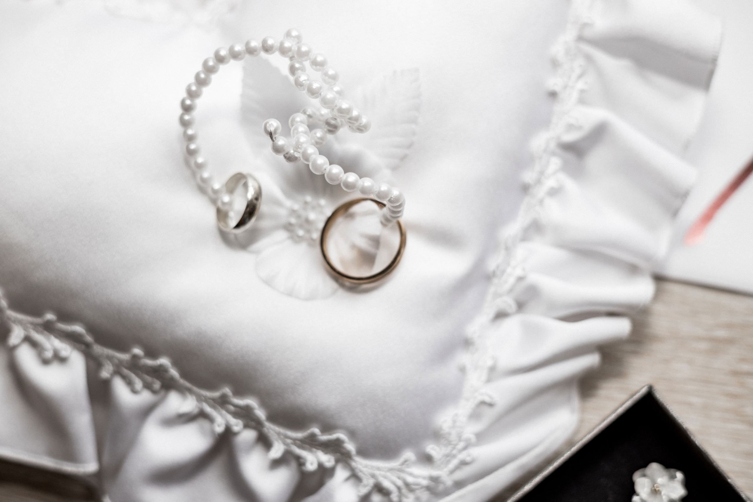 Barbora & David. Svatební fotograf a kameraman v Česku a po celé Evropě — Teplice, Ústí nad Labem, Praha, Drážďany