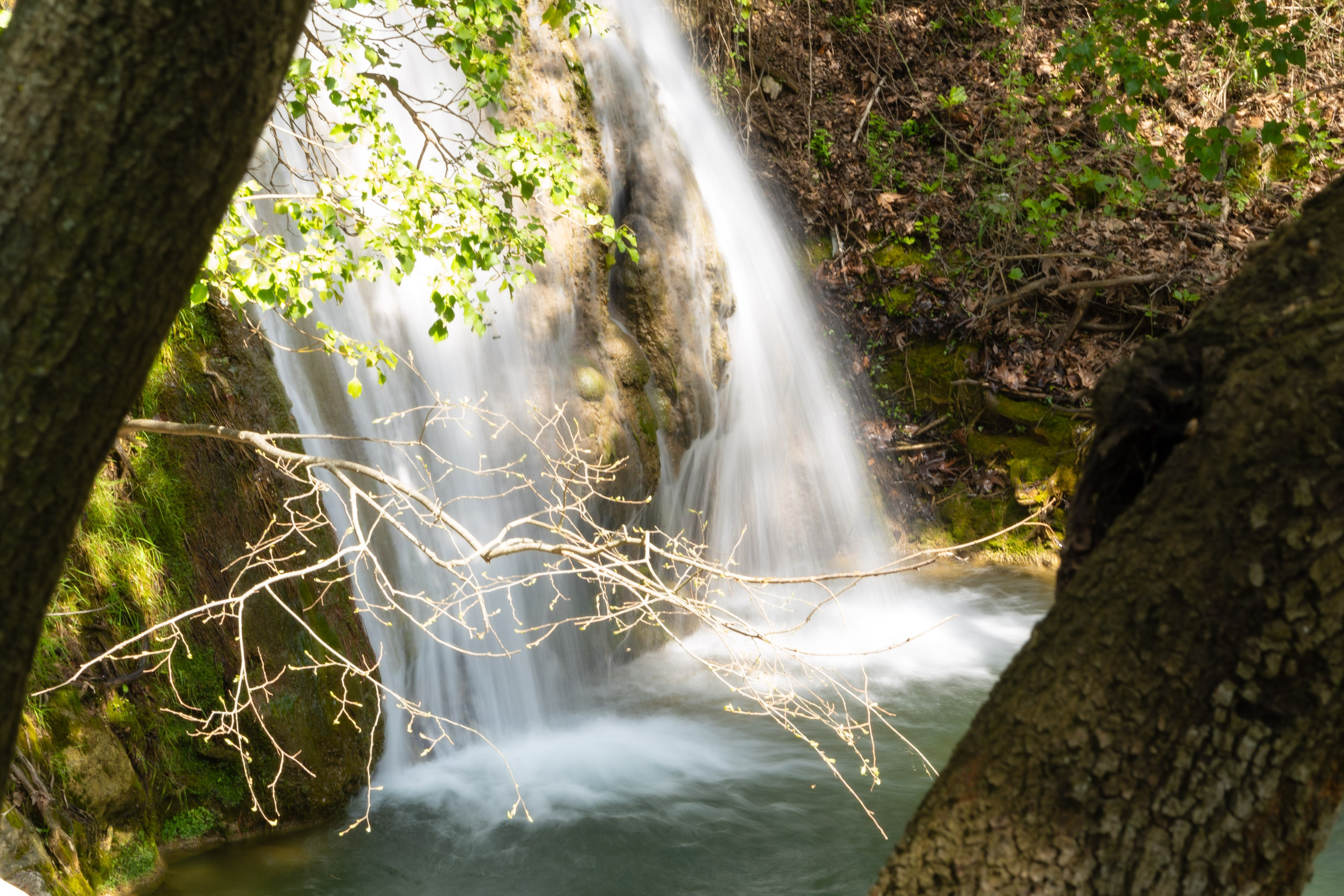 Thasos 2025. Fotografiideplacere.net