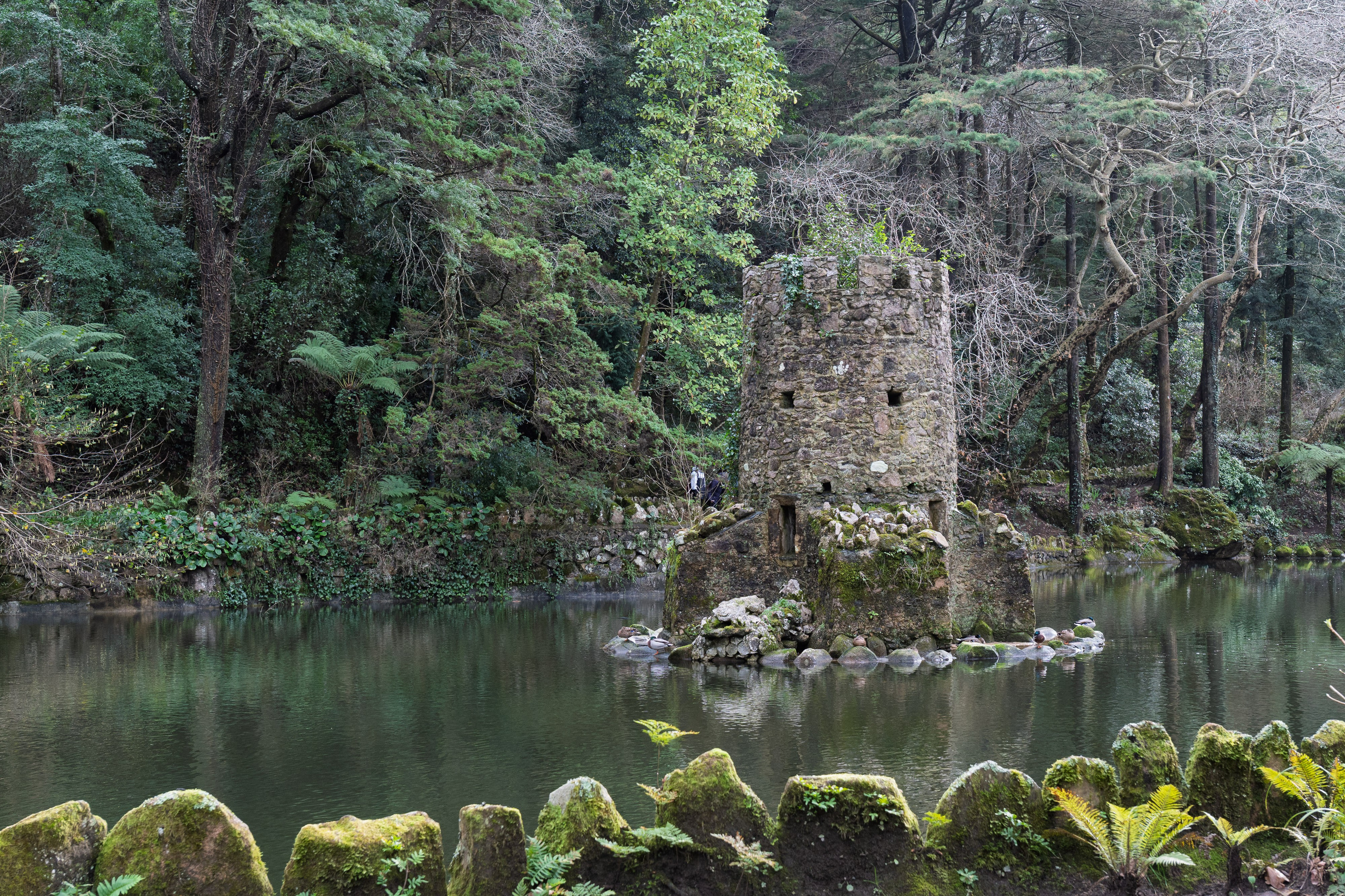 Lisabona 2025. Fotografiideplacere.net