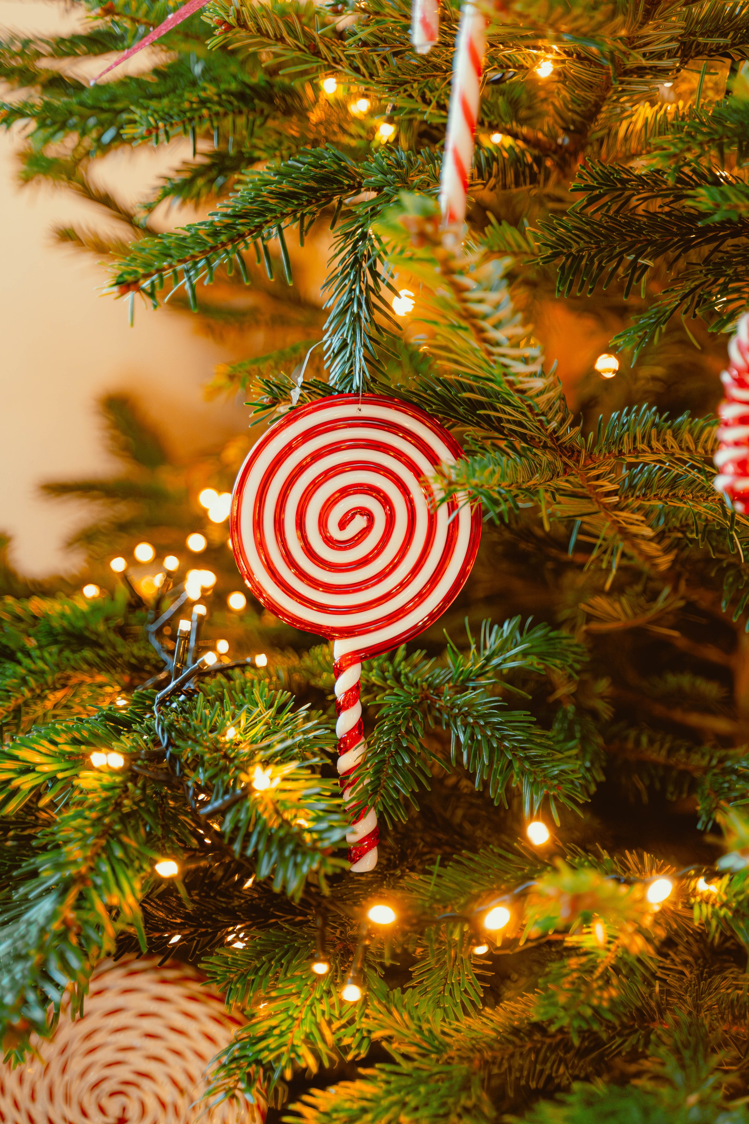 La Maison Villeneuve. Weeding photographer / event / portrait