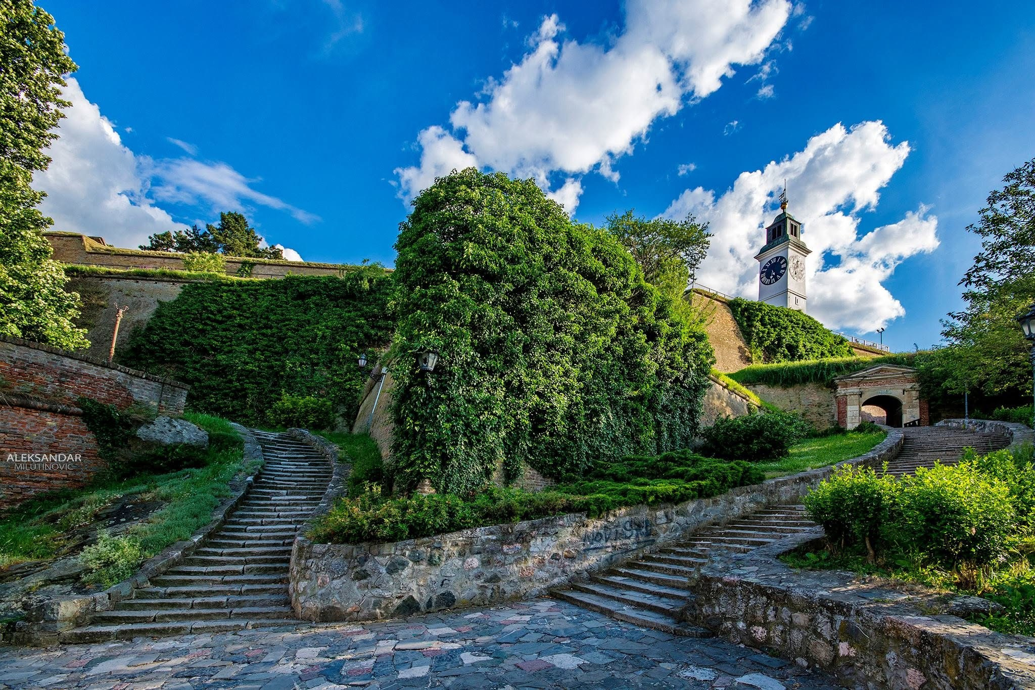 Novi Sad, tri prazna mesta pa svi ostali gradovi.❤️. Aleksandar Milutinović fotograf iz Srbije, Novog Sada