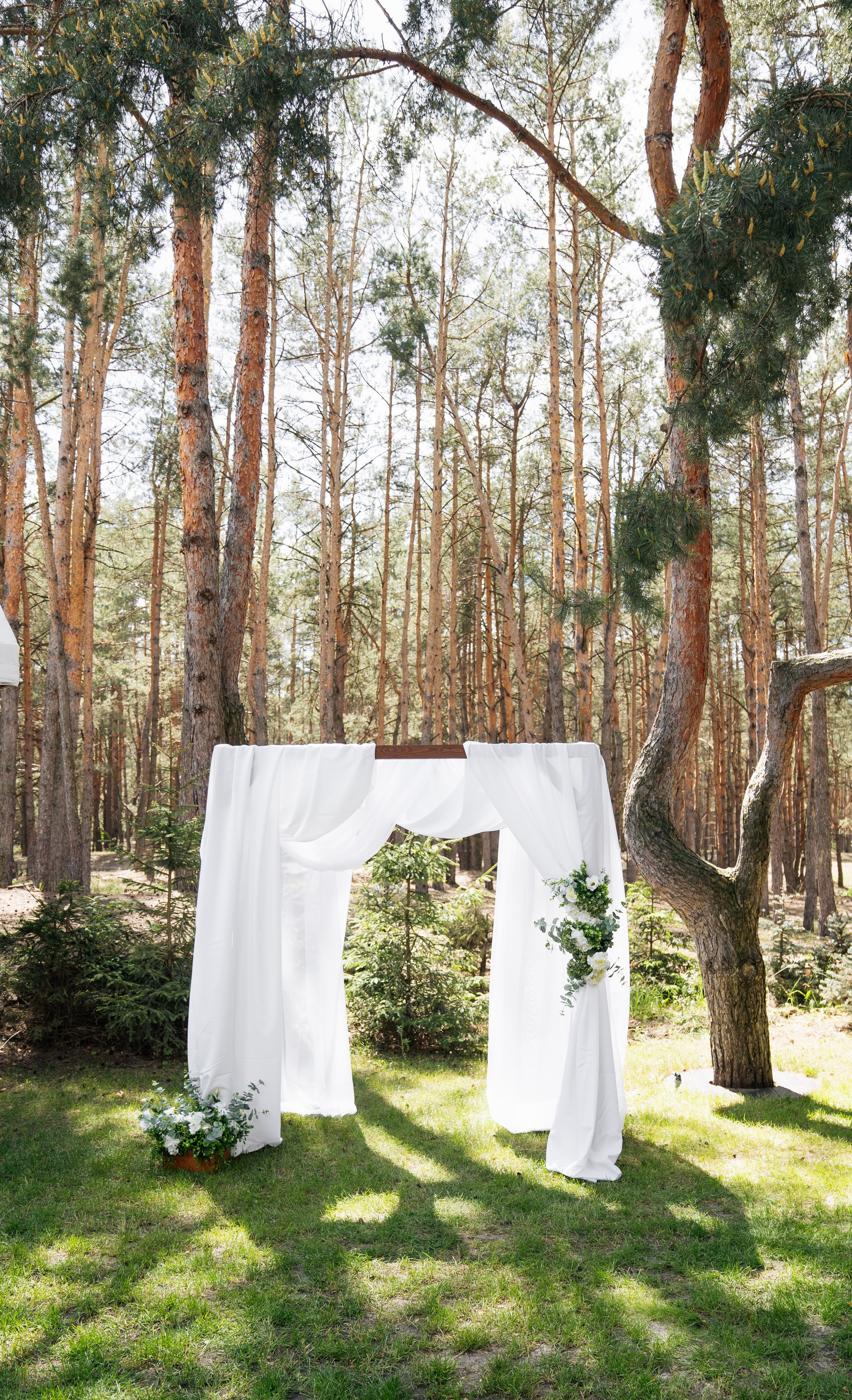 Wedding. Harbovskiy Photo