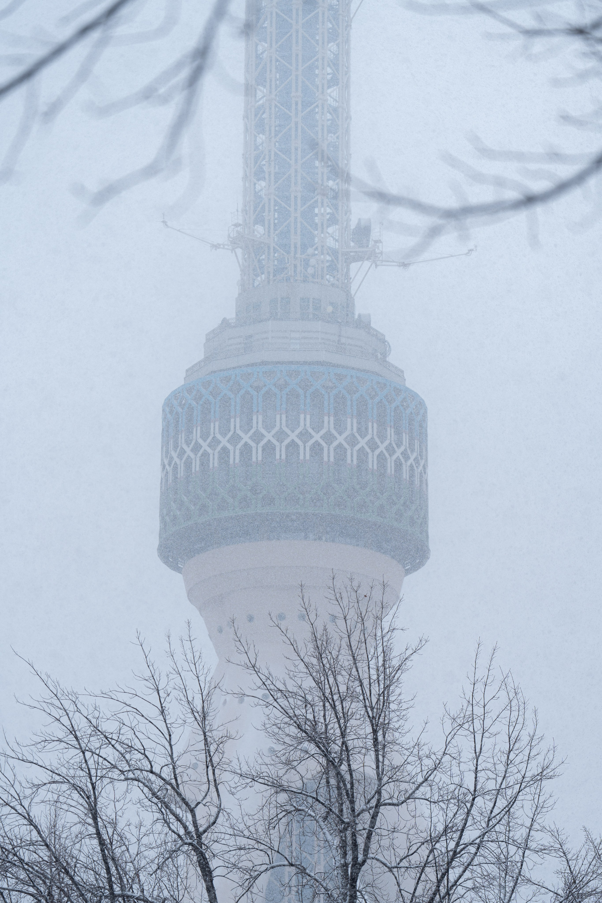 Первый снег в 2024 году. Георгий Намазов | Фотограф в Ташкенте