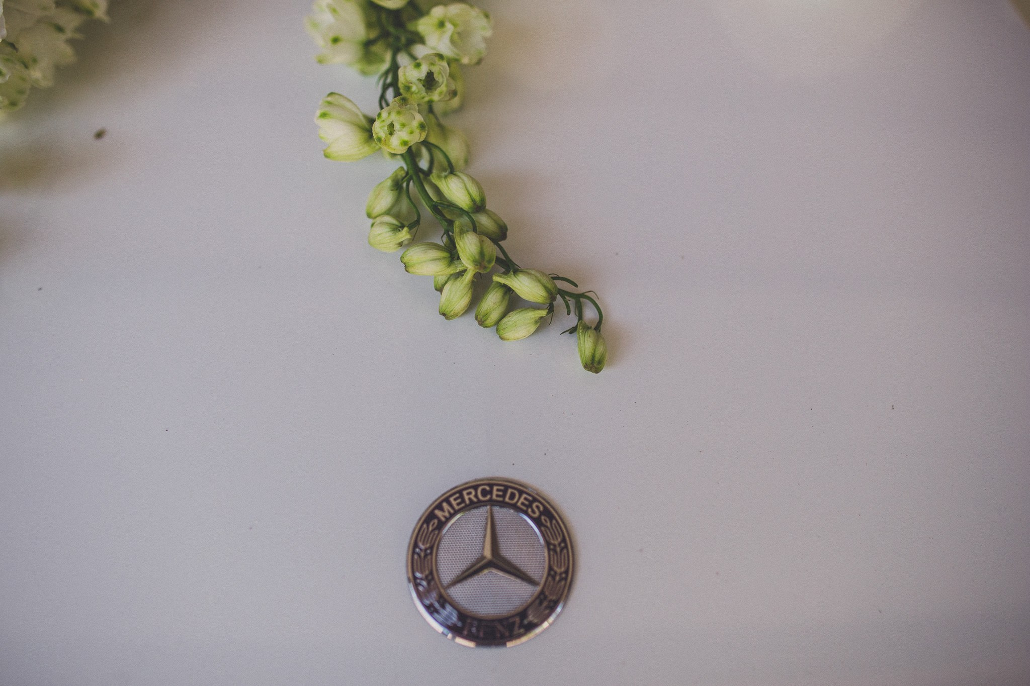 Boda Tijuana Casa Baloyan Laura y Rene. Estudio de fotografia en Tijuana