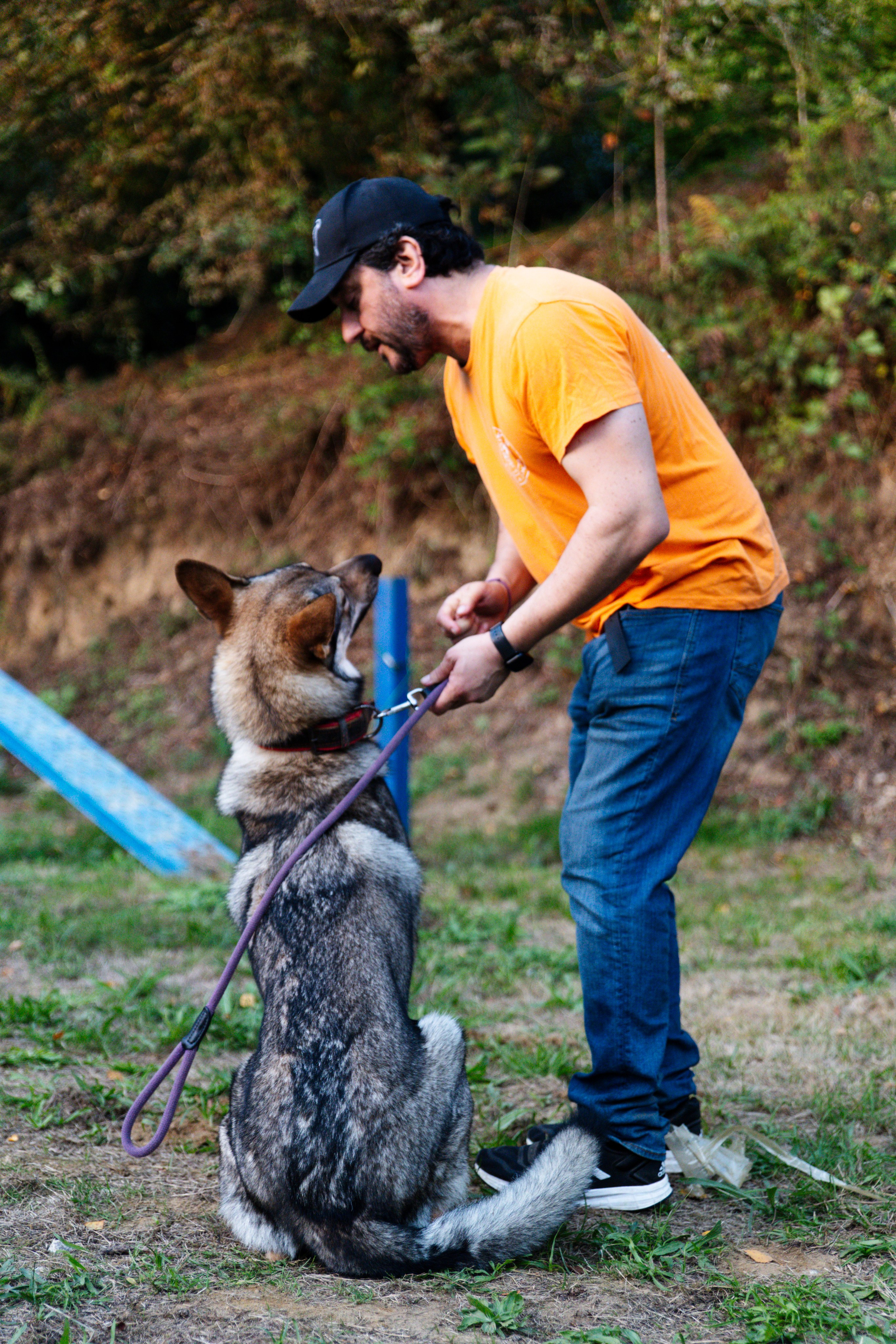 Sesiones fotográficas a mascotas. RabelByCris Fotógrafa en Coruña de Eventos, sesiones, mascotas
