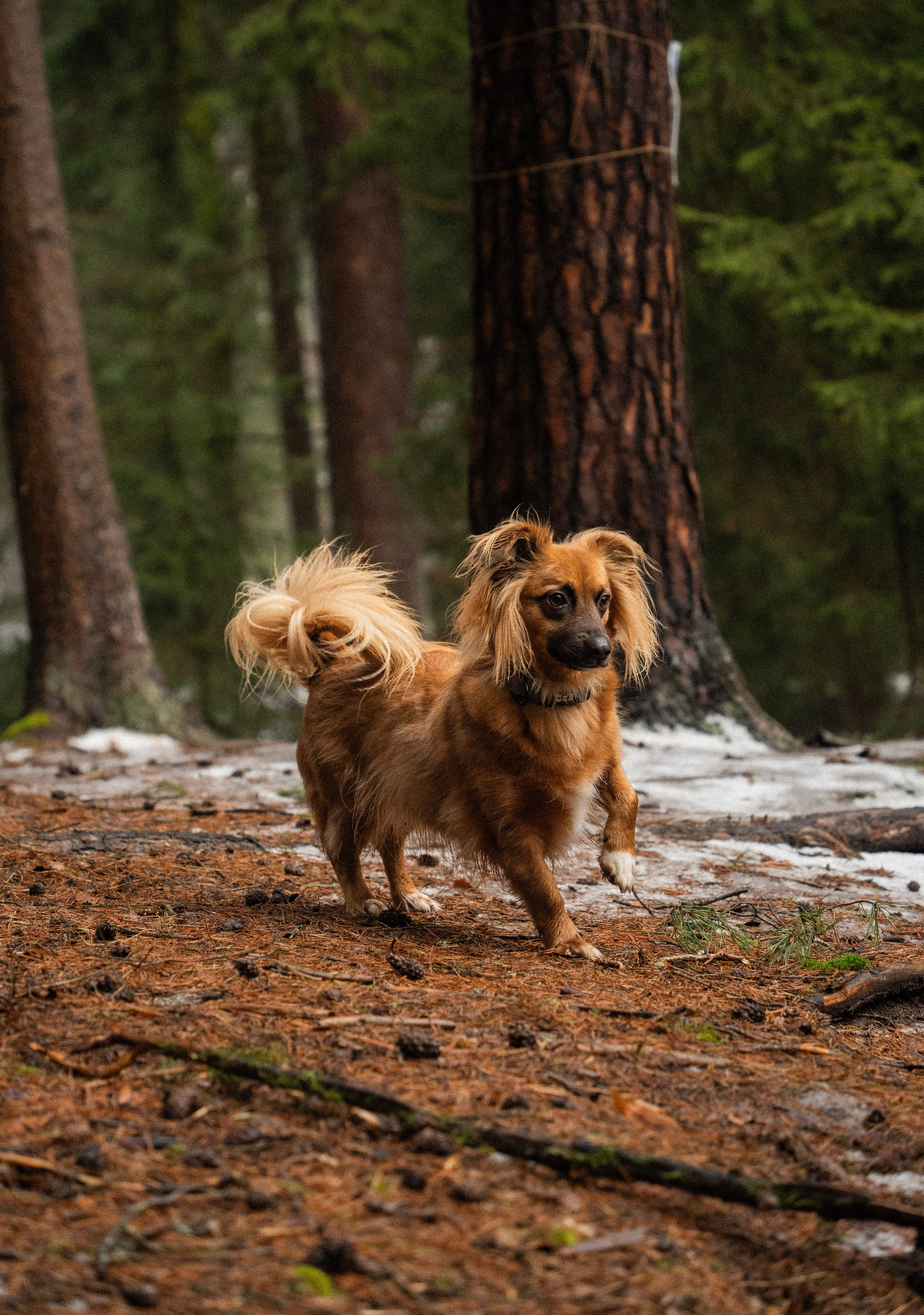 Irina and Oleg. Everwarm Photo and Video Studio