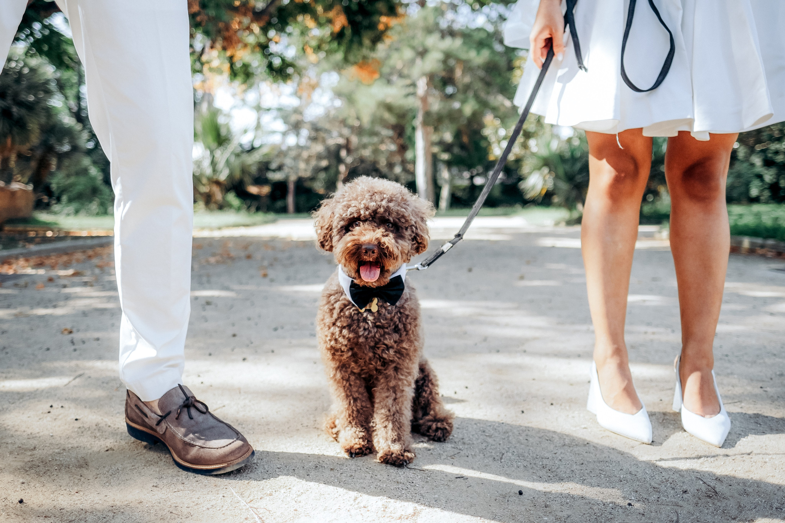 Rayana & Marti. Wedding Photographer in Barcelona Lana Alekhina