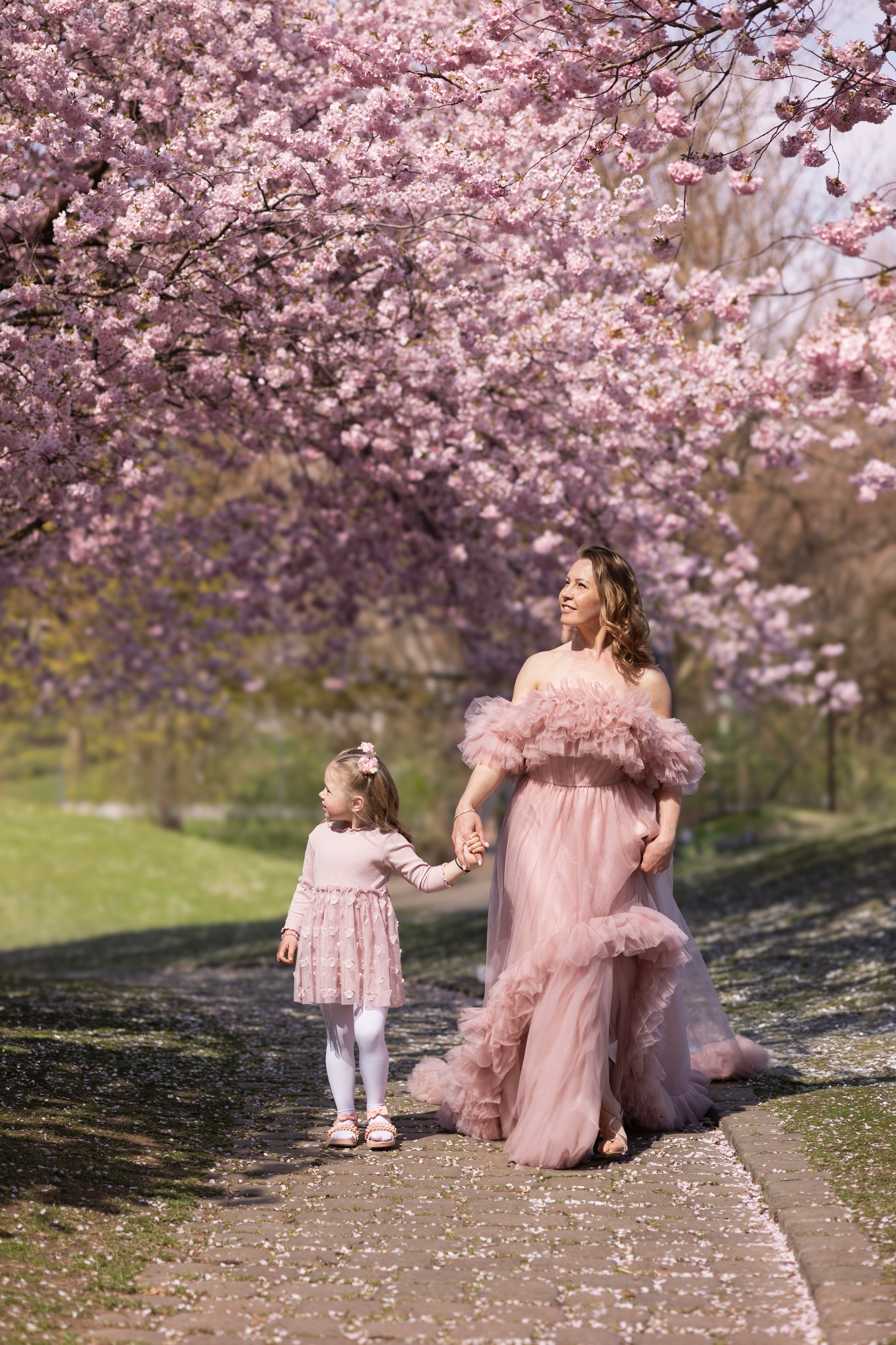 Cherry Blossoms in Munich. Photographer in Munich