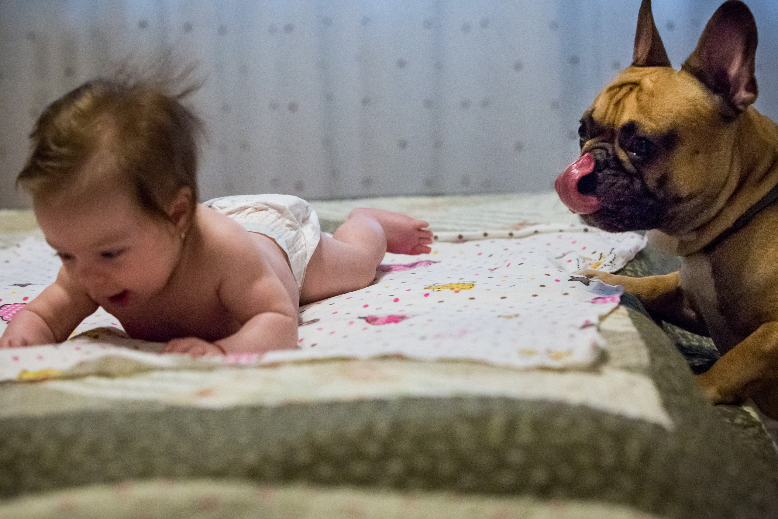 Botez Ariana Ioana. Cătălin Lazăr Photography — Fotografie de nuntă și evenimente premium în România și Europa