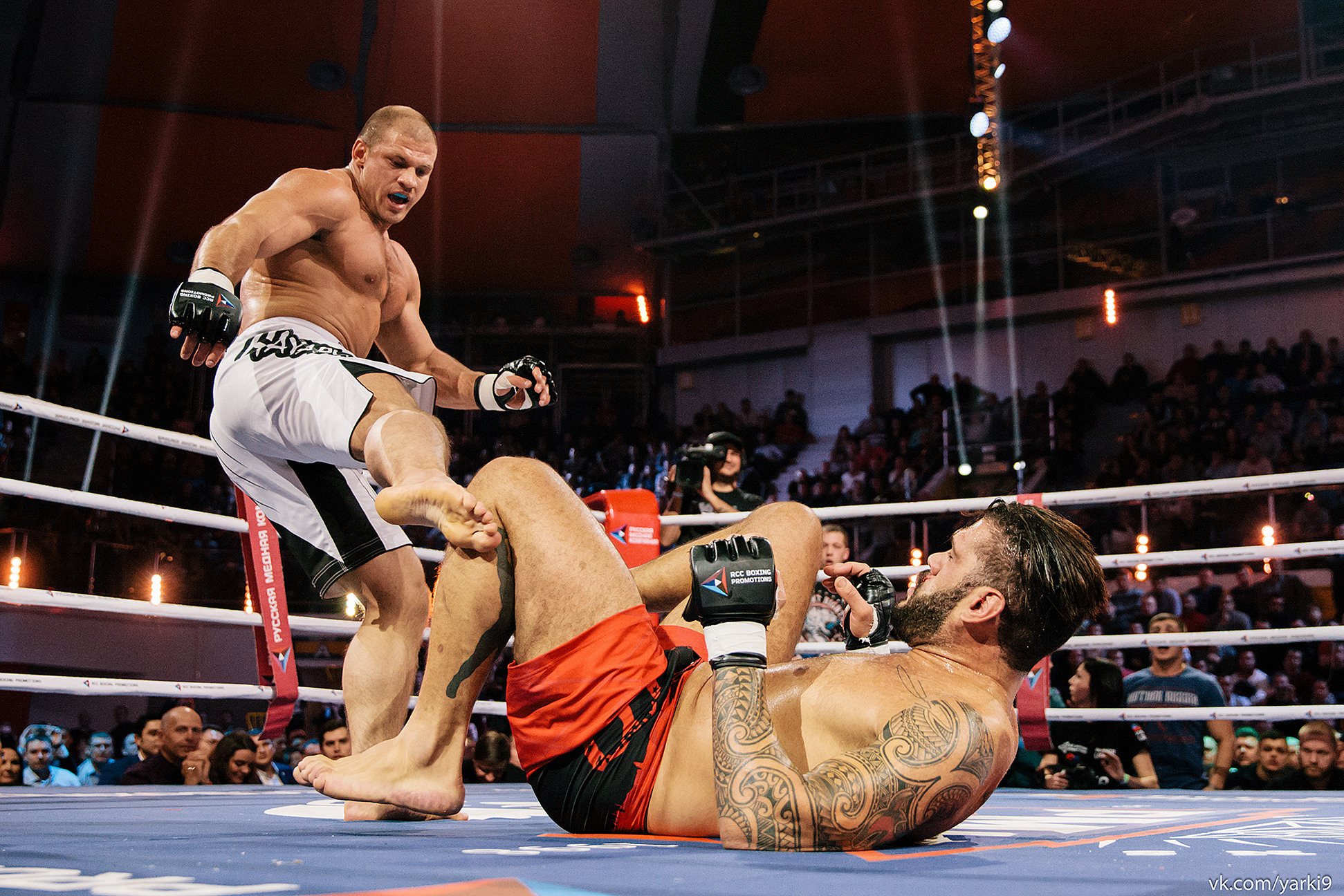 Boxing. Photographer in New York City