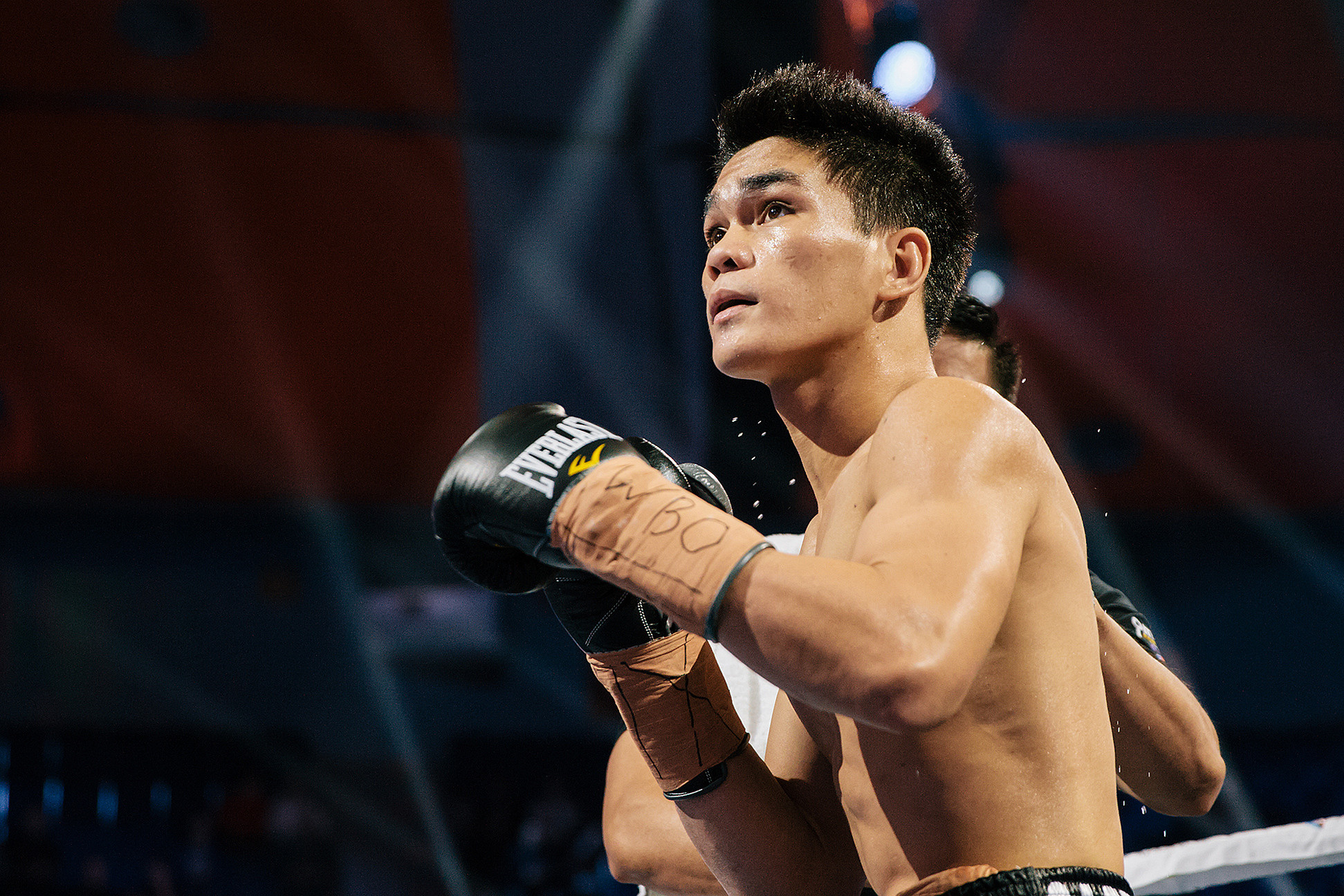 Boxing. Photographer in New York City