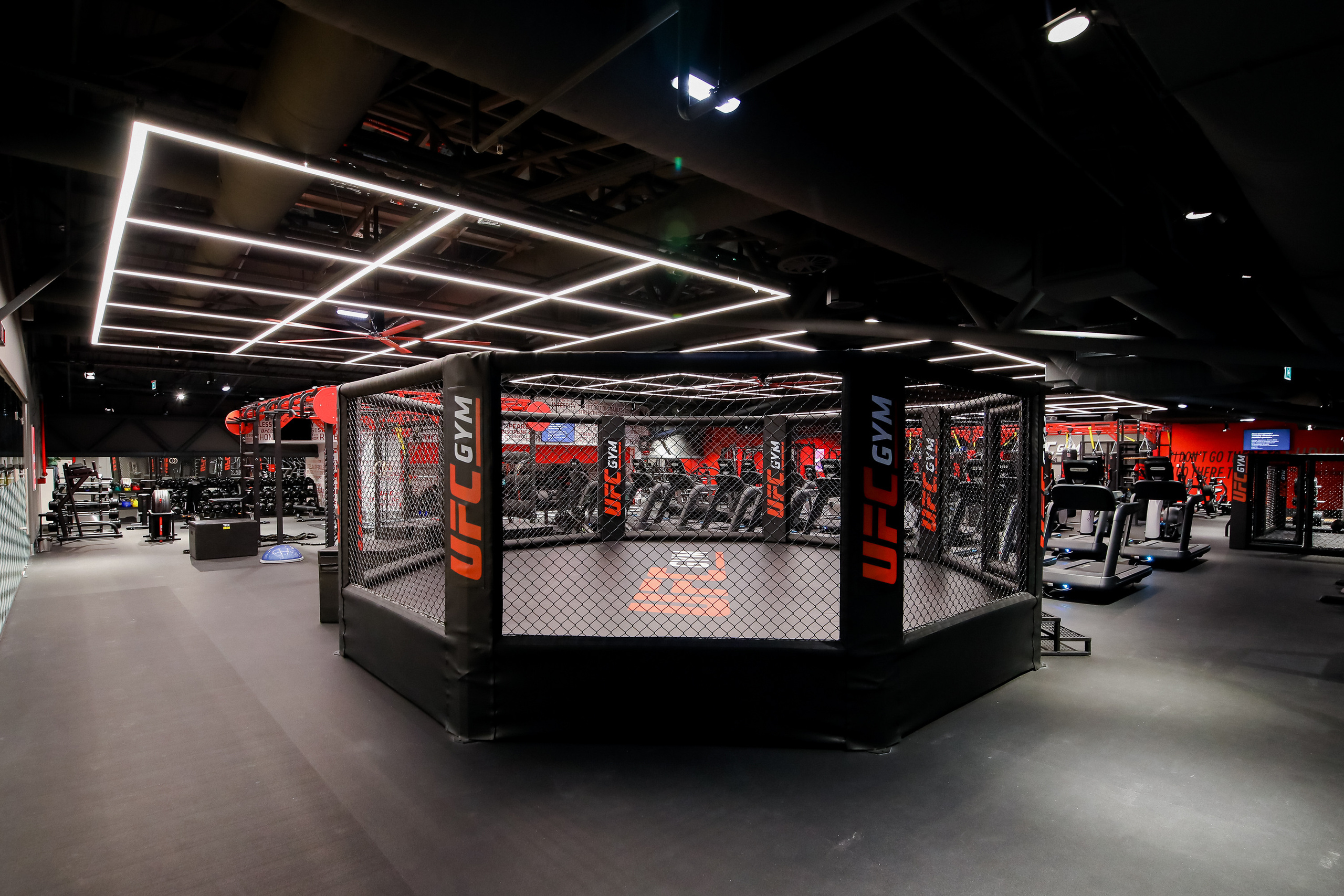 UFC Gym. Photographer in New York City