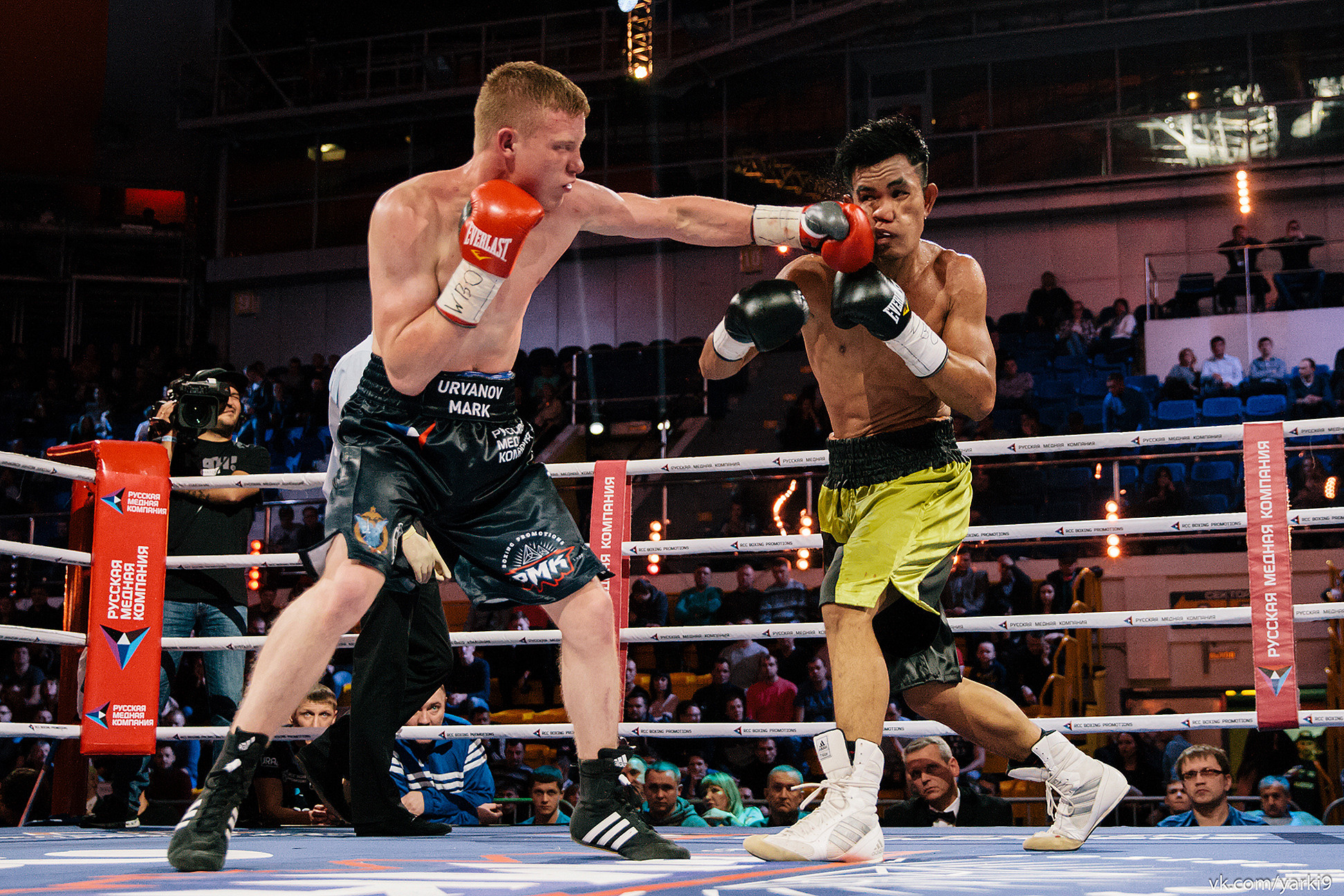 Boxing. Photographer in New York City