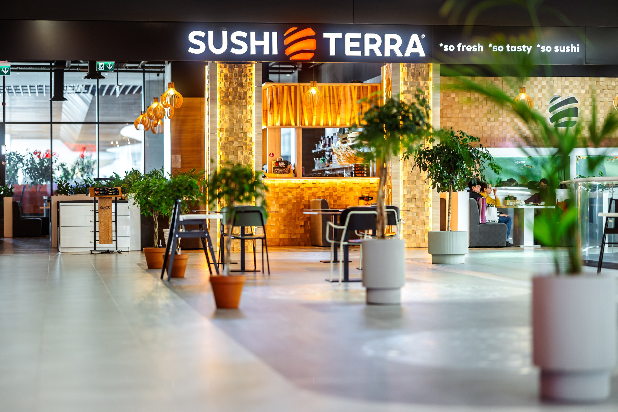 Sushi Terra. Marius Ciocan